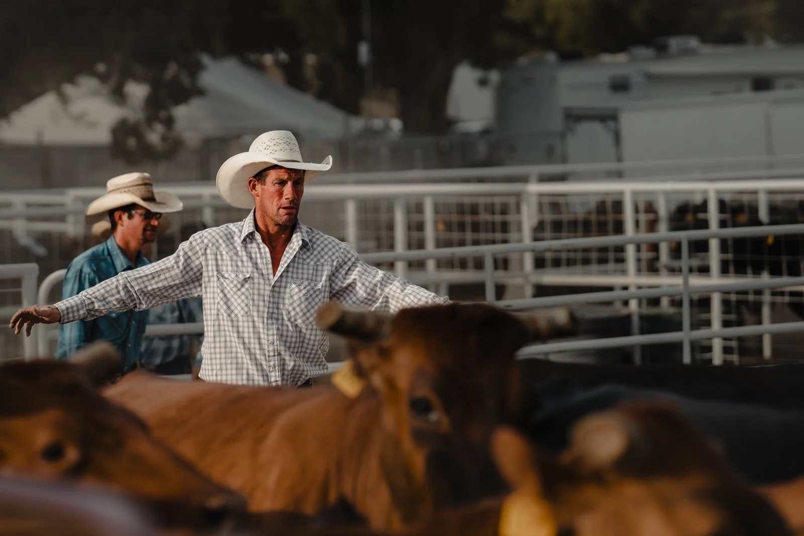 Ranch Rodeo-10.jpg