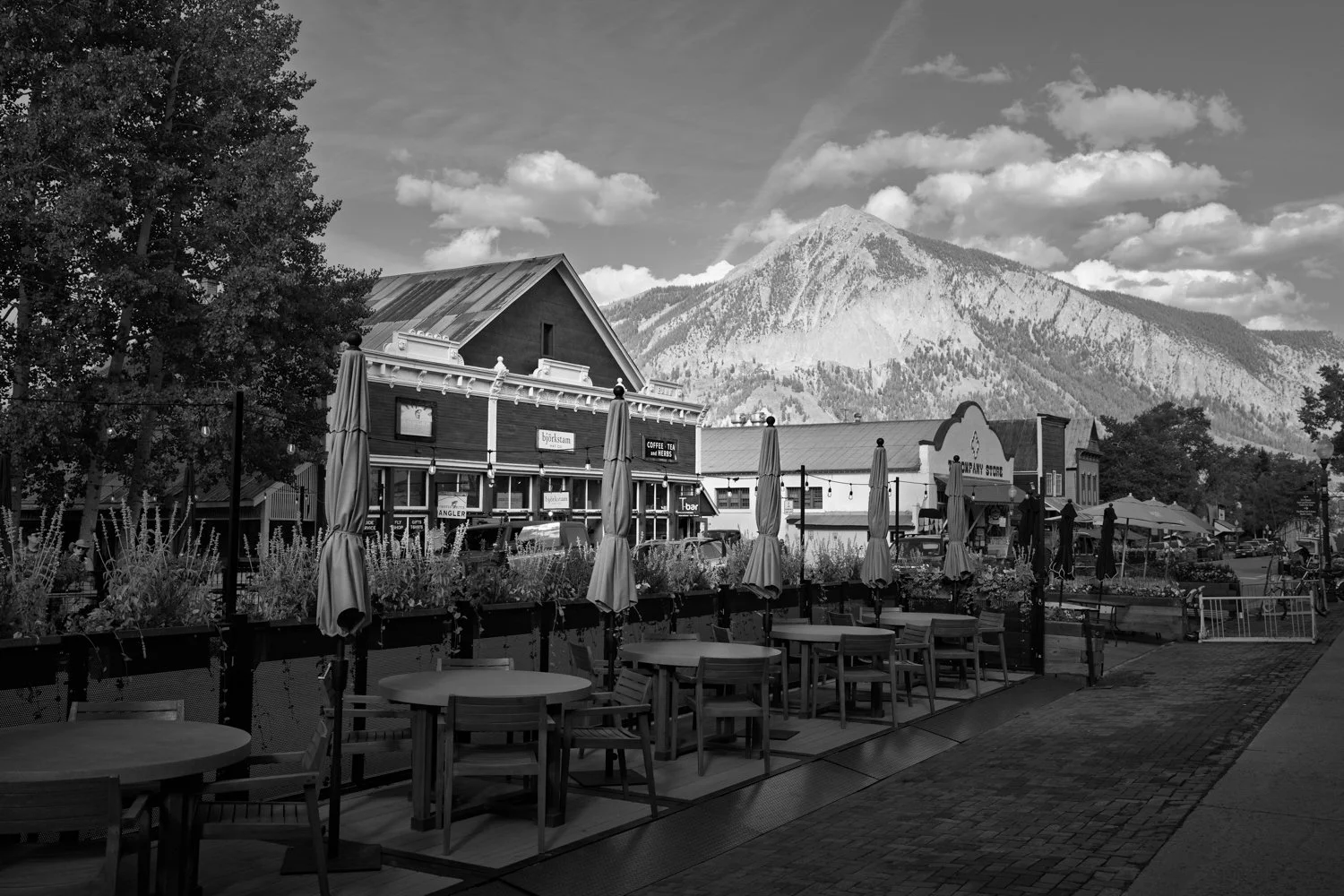 Crested Butte-8.jpg