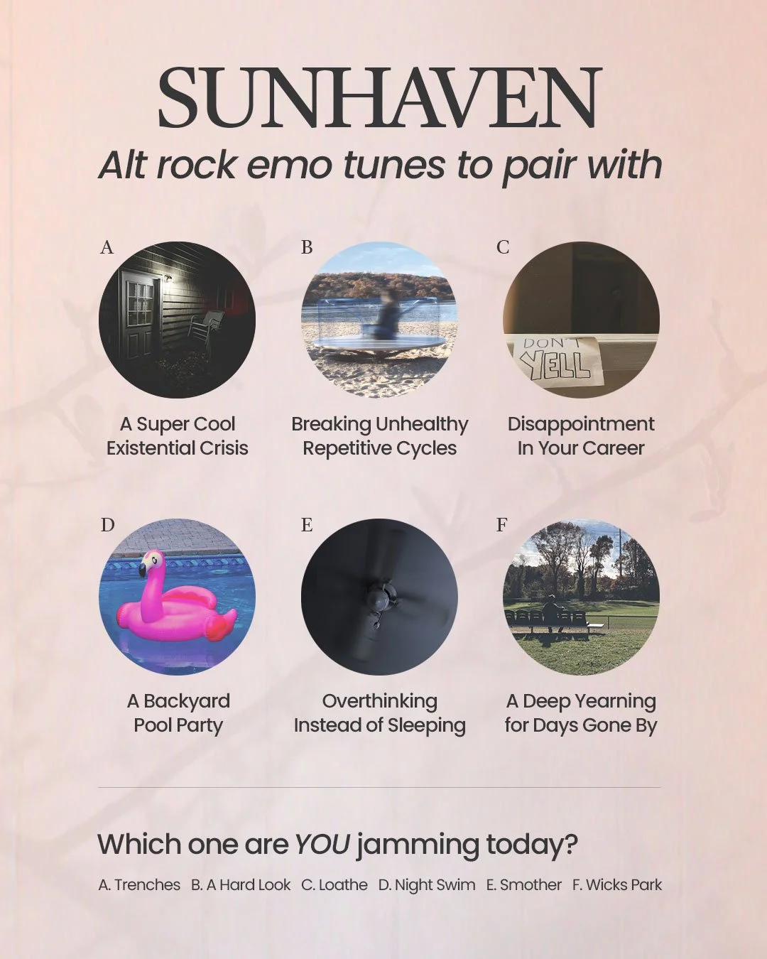 Tongue In Cheek user poll