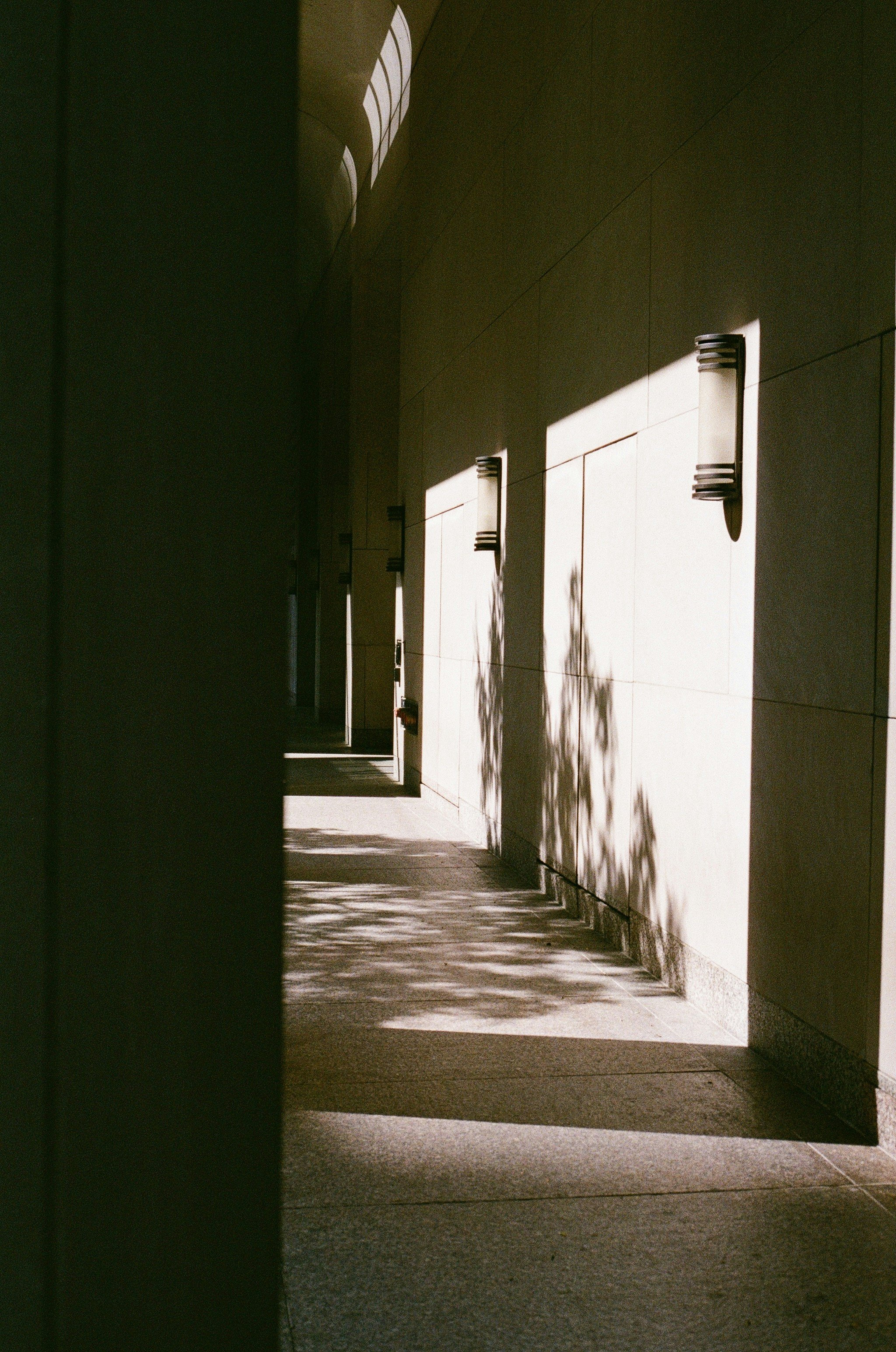 Soft light passing through a quiet architectural corridor, creating a calm and contemplative atmosphere