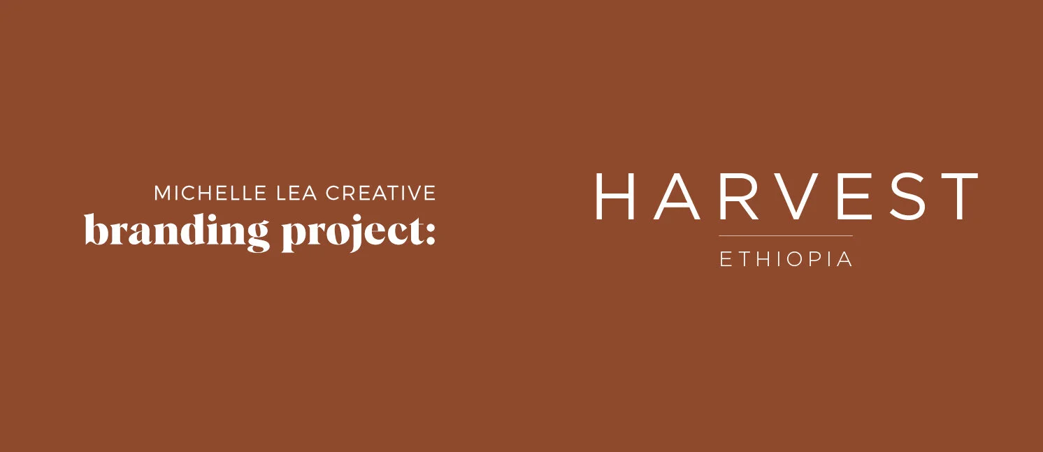 branding project Harvest.jpg