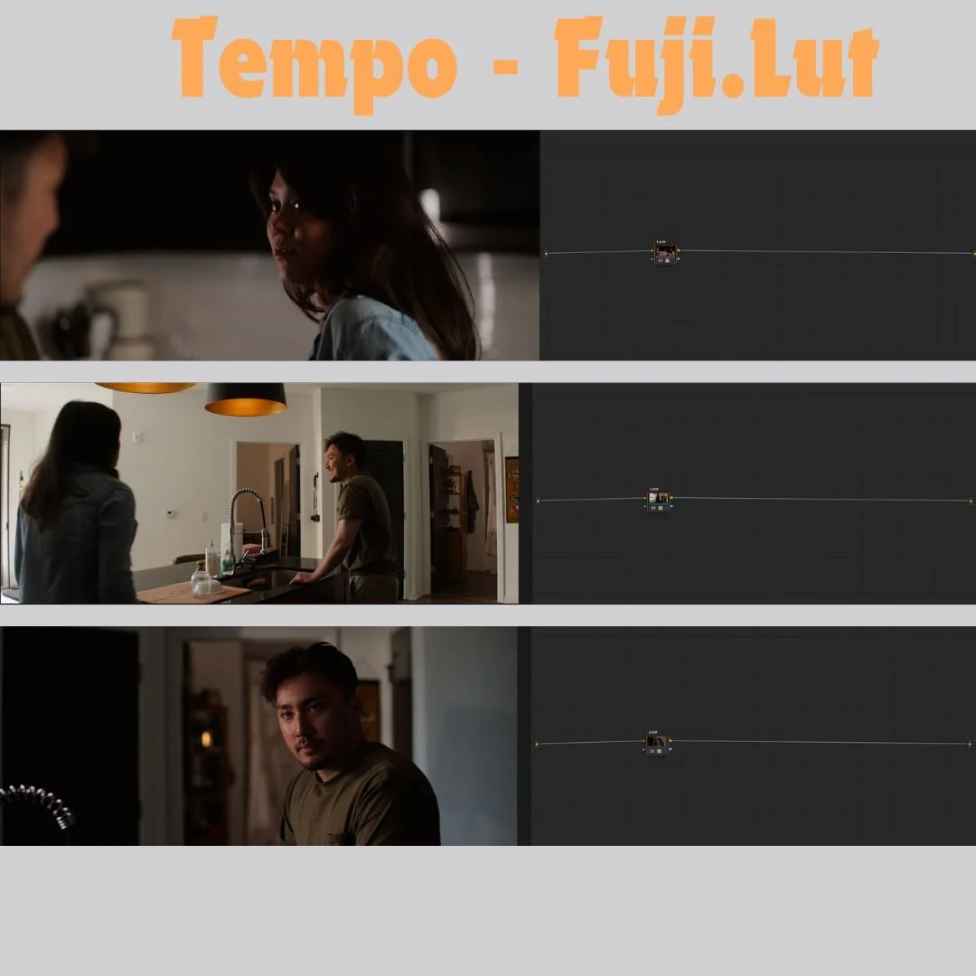 Tempo-Fuji Lut.jpg