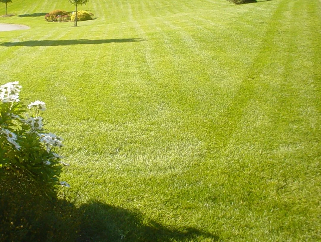 SeasideDesignLandscape_Marshfield MA 12.JPG