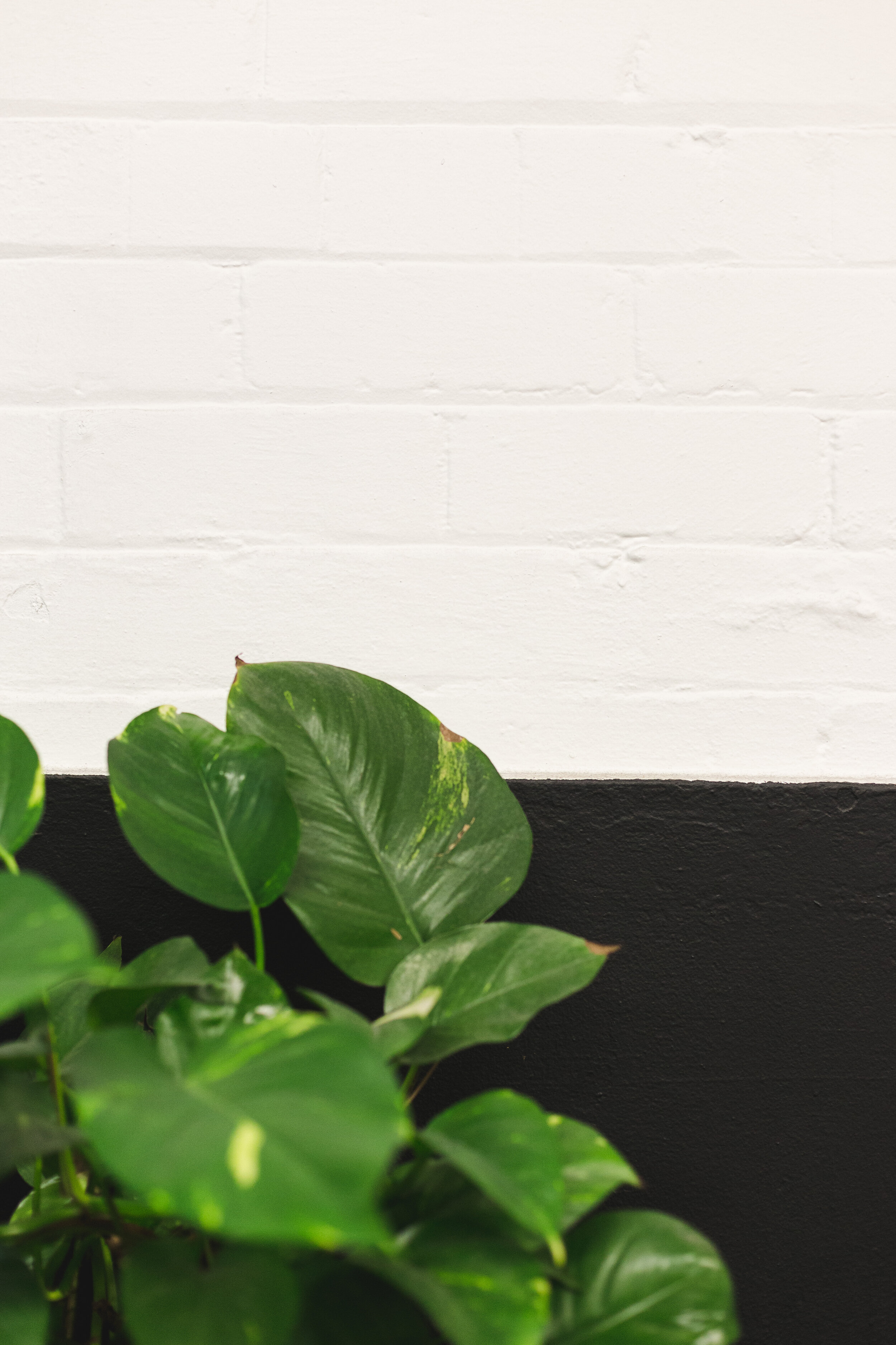 20180613_Webprofits_Web content shoot-High-5155.jpg