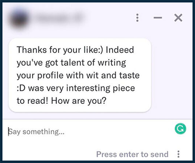 Example of a Great Bio 2