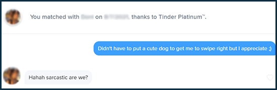 Opener tinder dog 13 Sexual