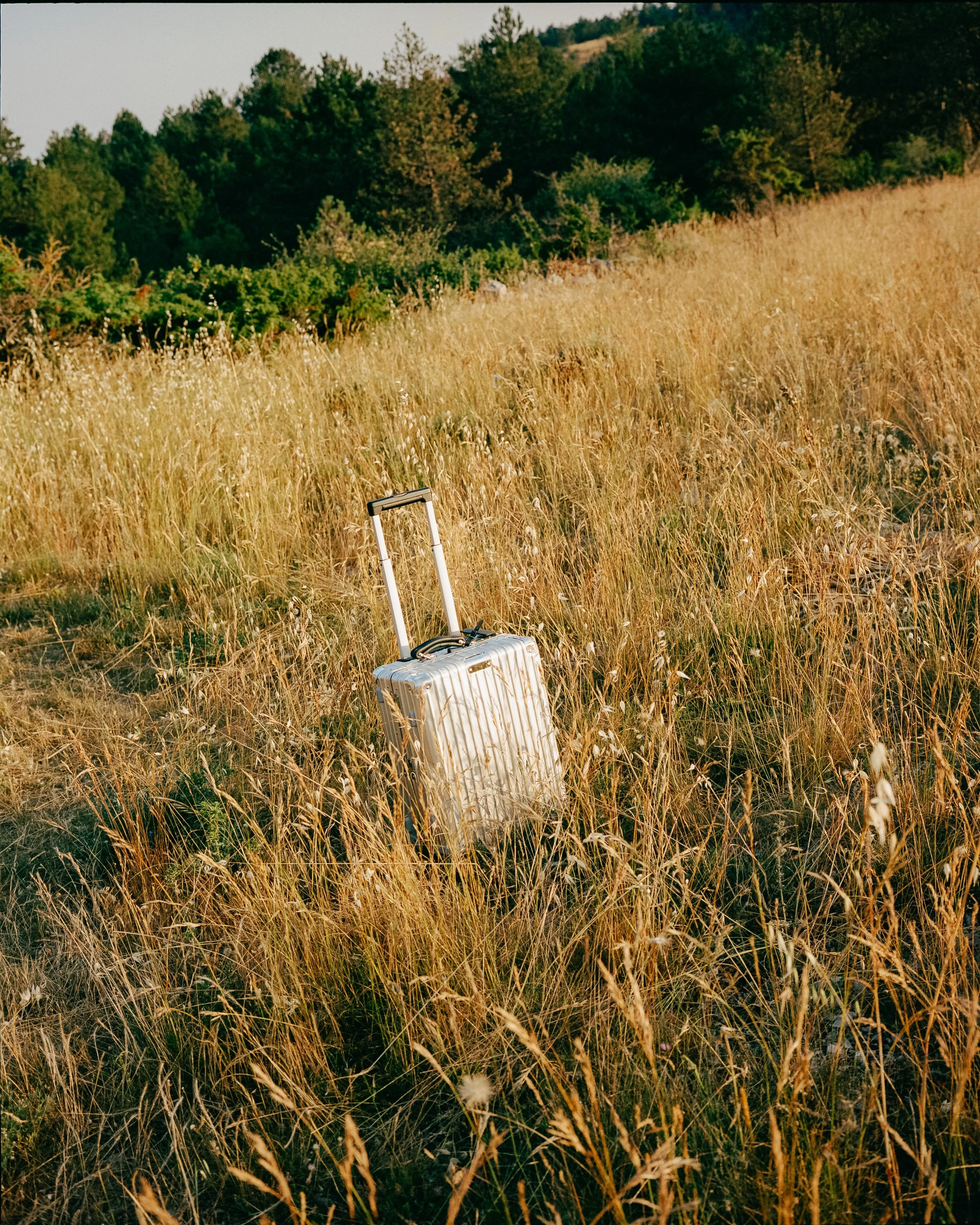 86220_ICA_002_02.jpg