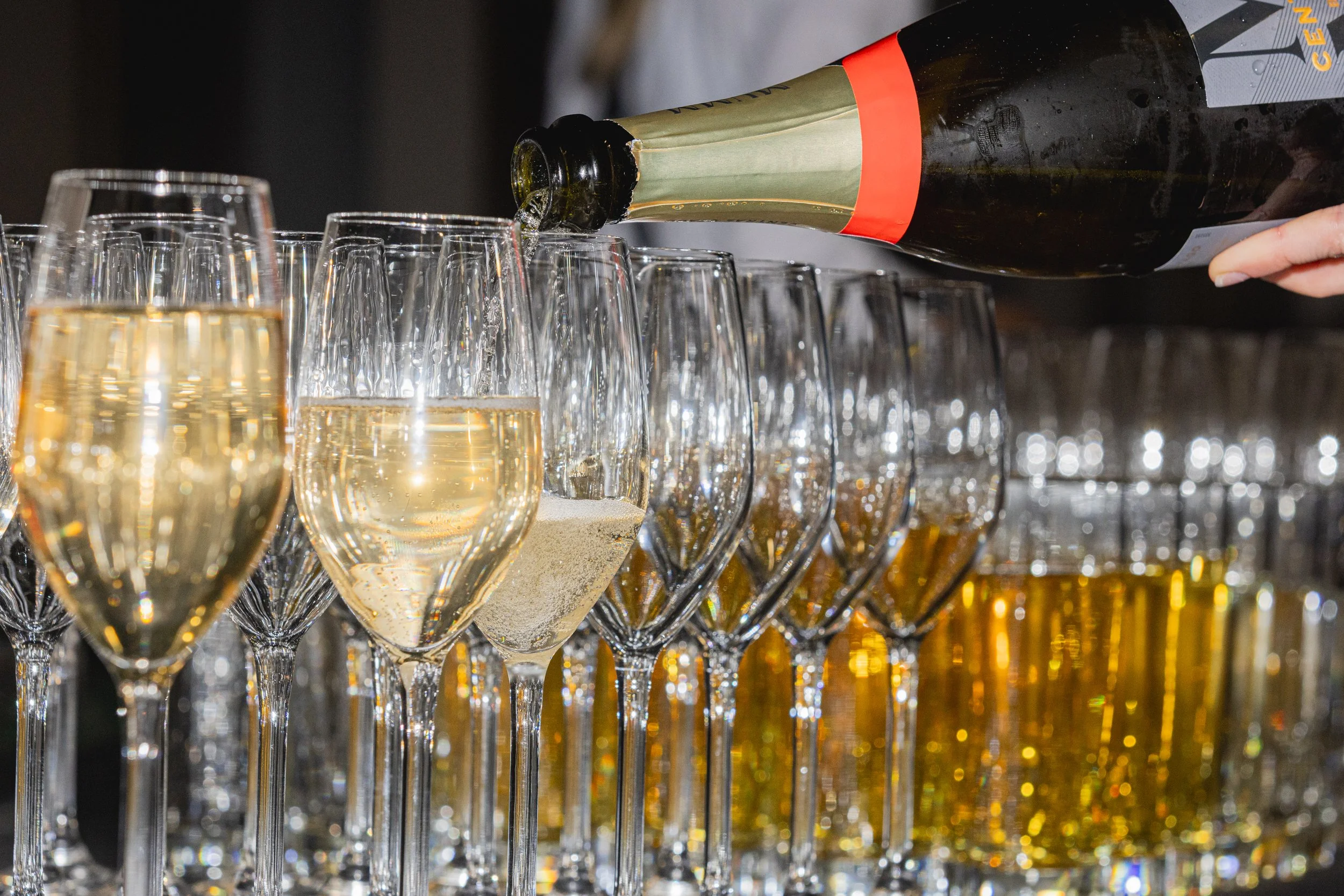 Event 2 - Parliament Celebration & Cocktail Event-2.jpg