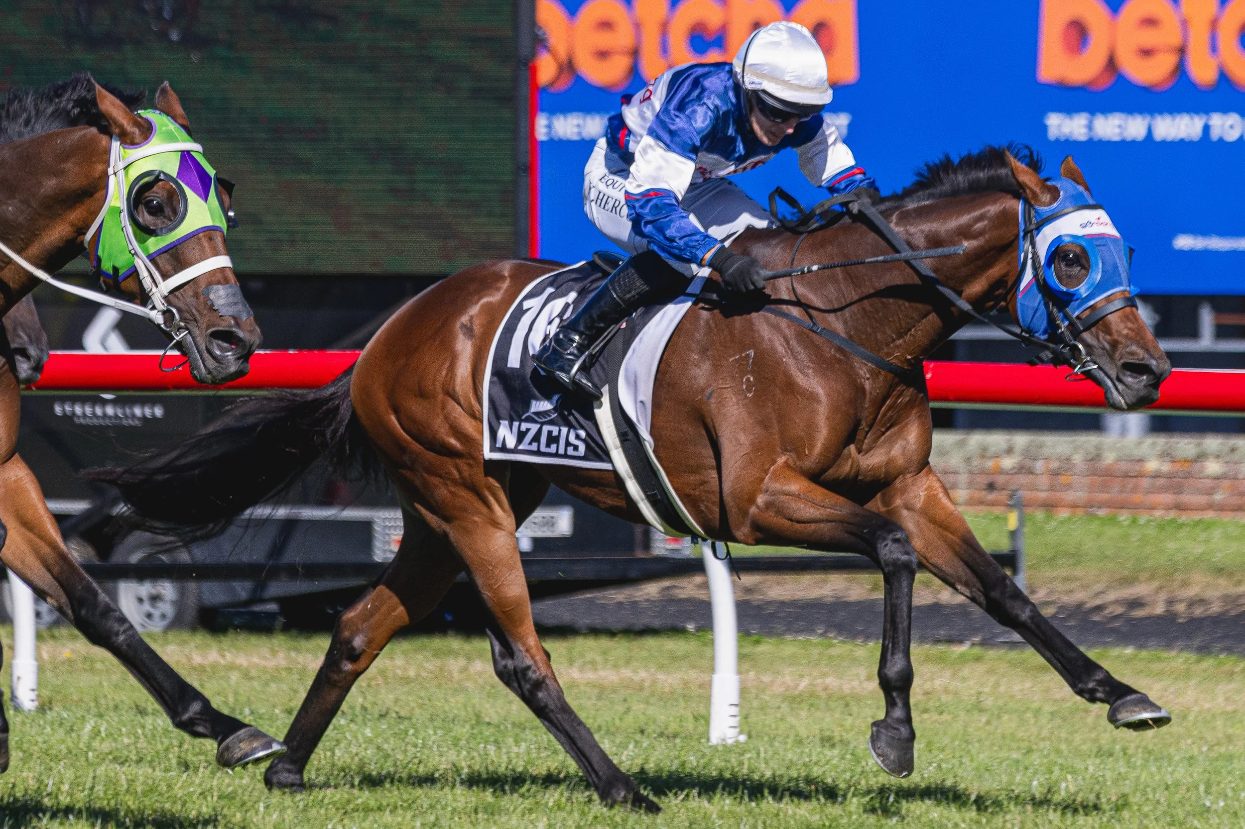 Wellington Cup 2026 (Small Files)-47.jpg