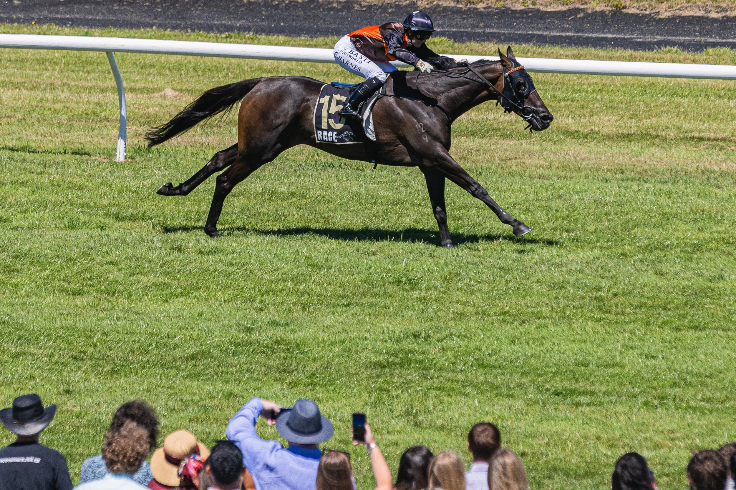 Wellington Cup 2026 (Small Files)-32.jpg