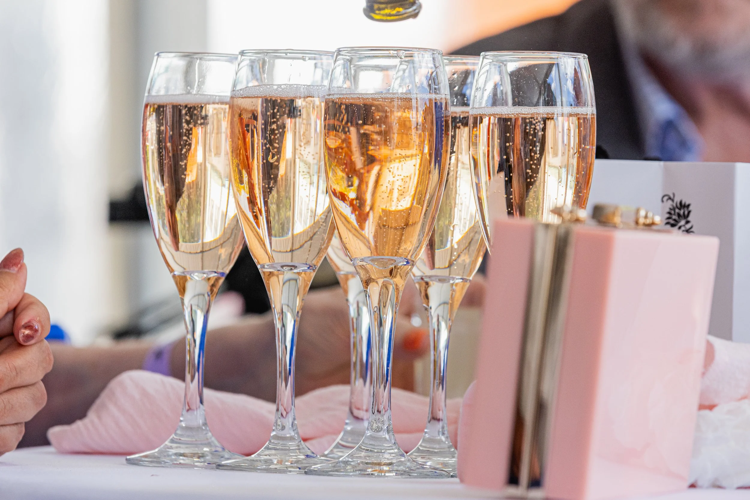 Wellington Cup 2026 (Small Files)-10.jpg