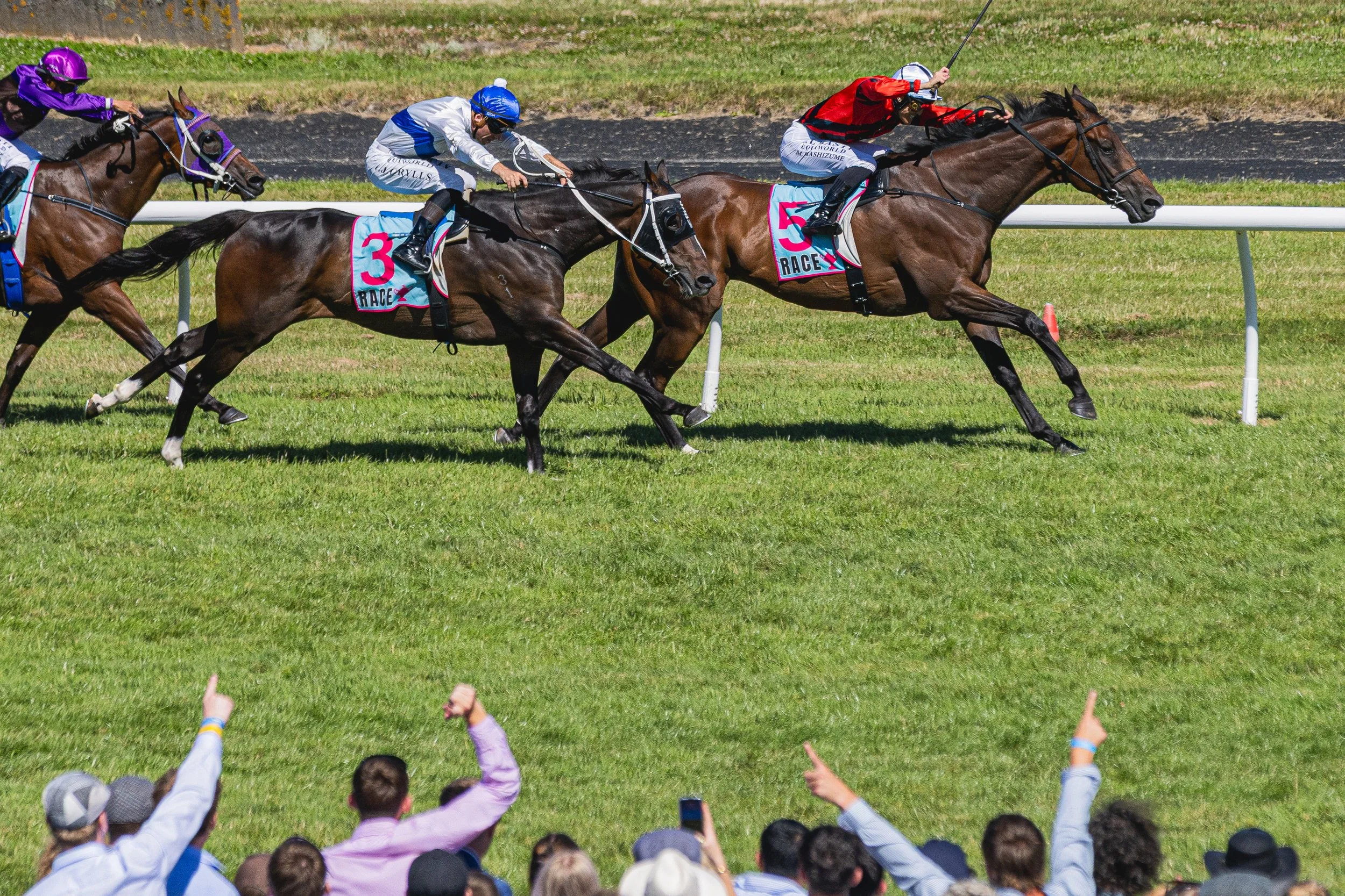 Wellington Cup 2026 (Small Files)-42.jpg