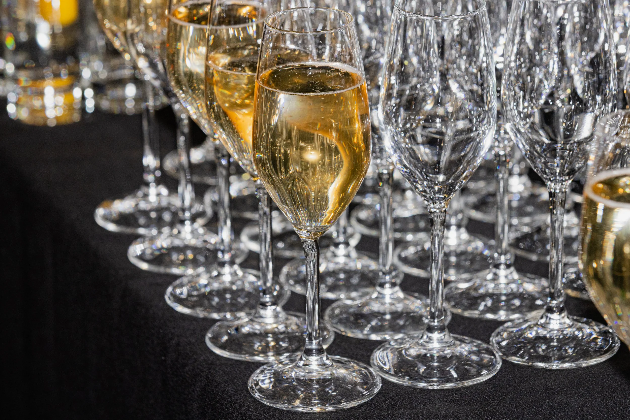 Event 2 - Parliament Celebration & Cocktail Event.jpg