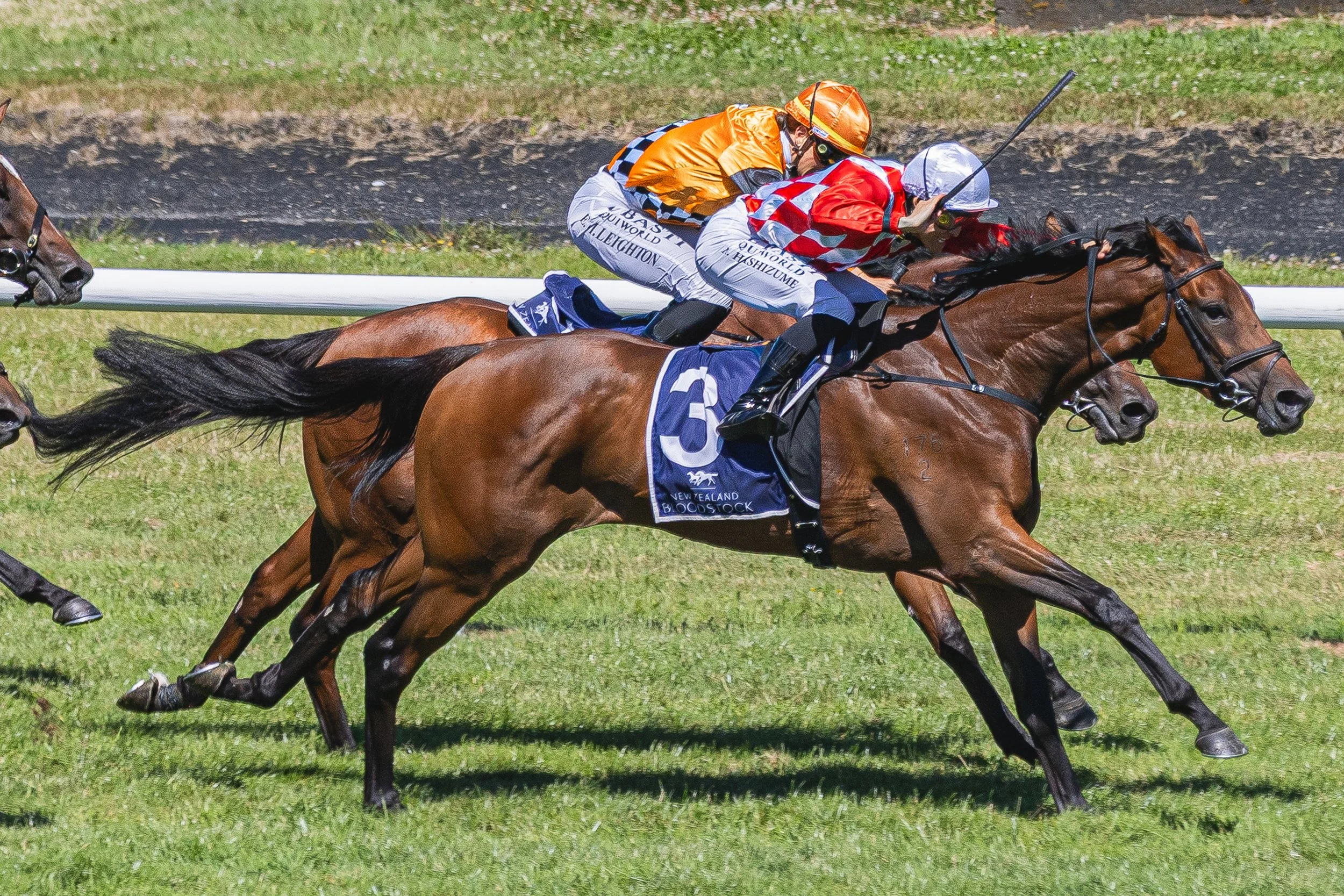 Wellington Cup 2026 (Small Files)-37.jpg