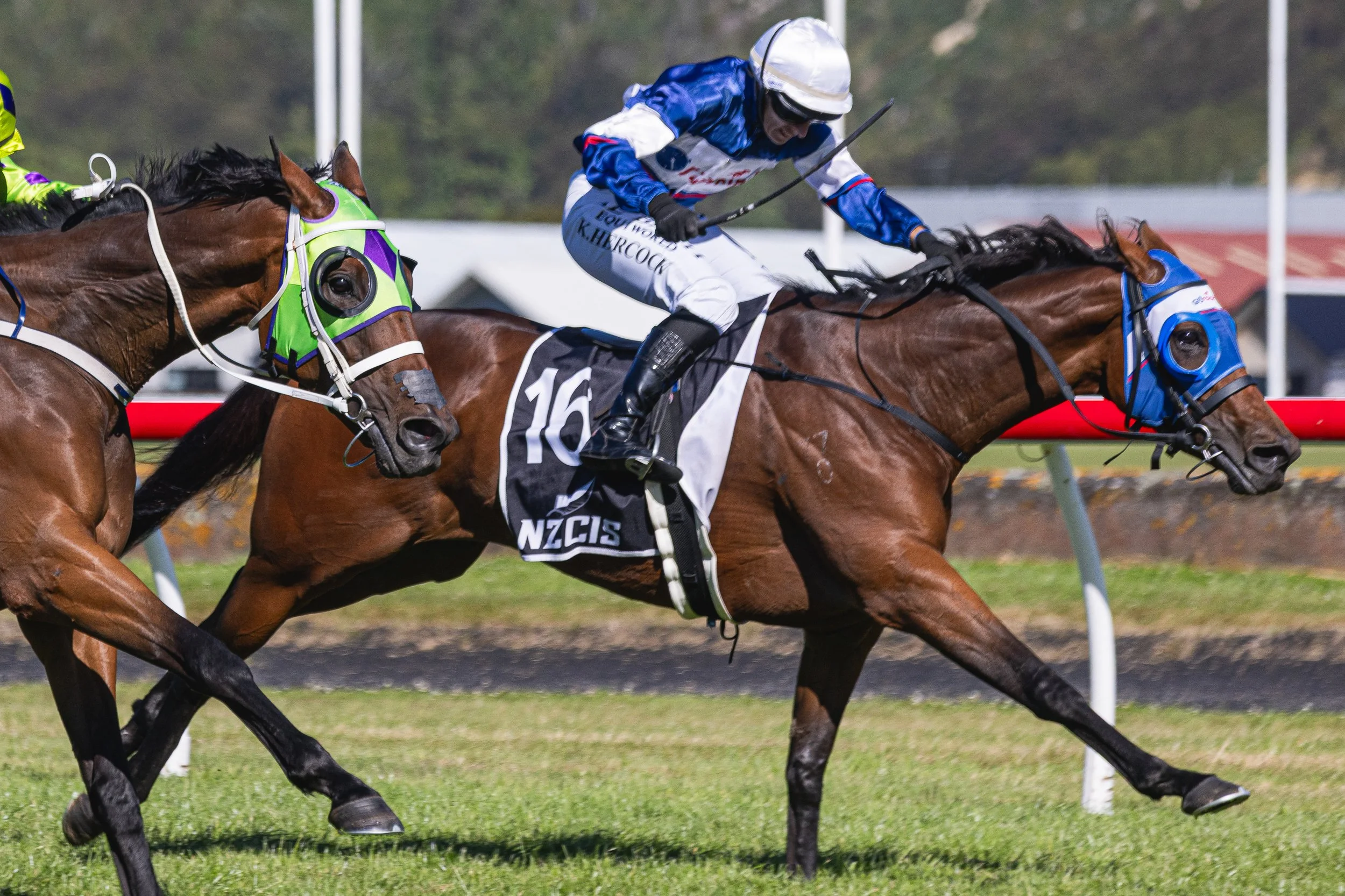 Wellington Cup 2026 (Small Files)-50.jpg