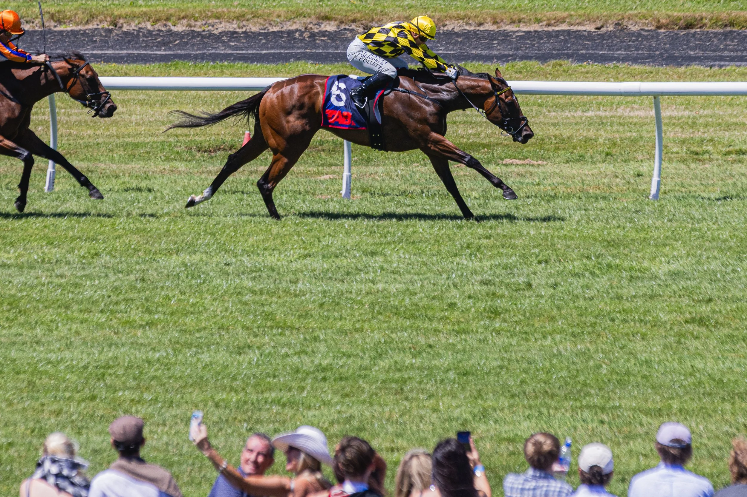 Wellington Cup 2026 (Small Files)-21.jpg