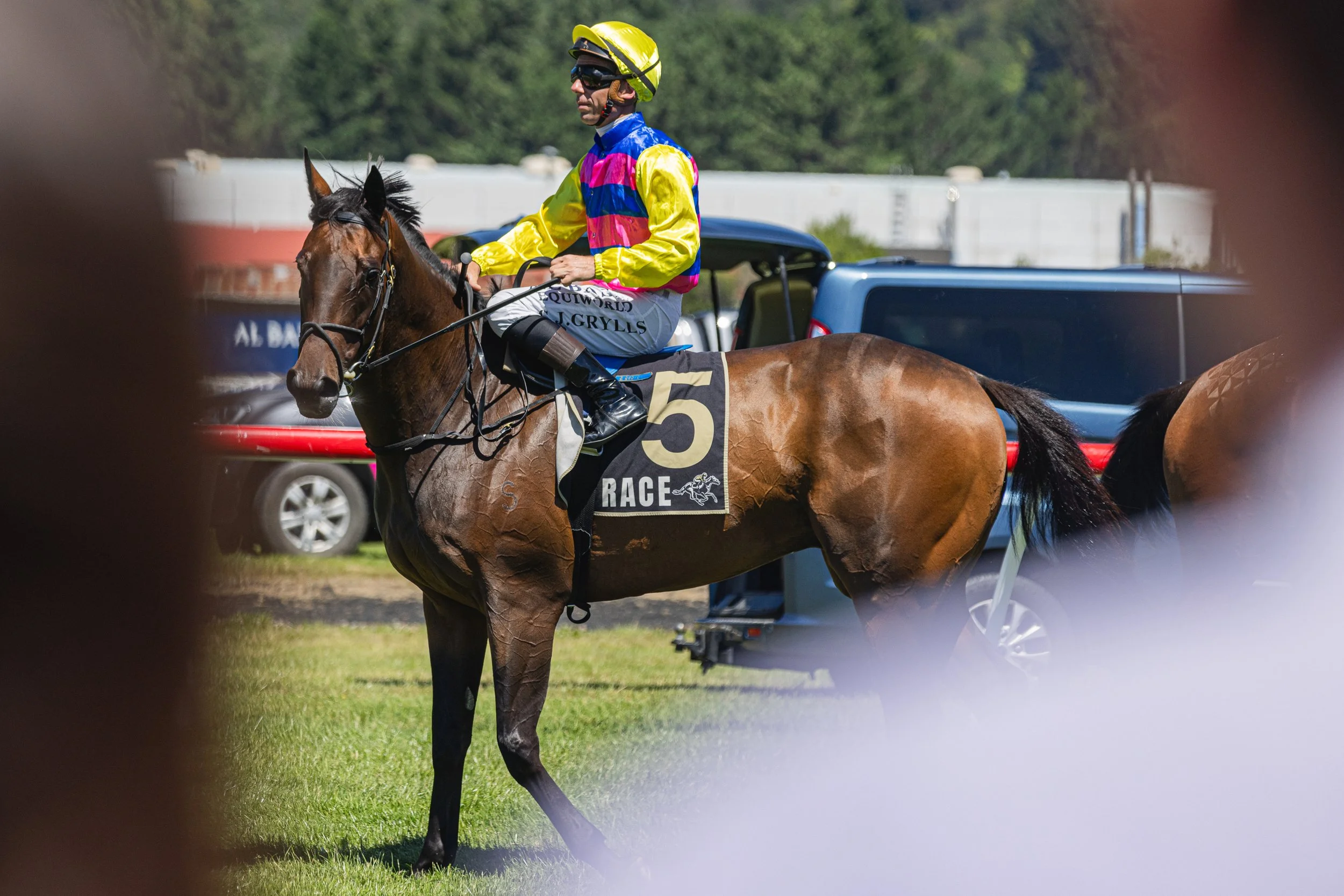 Wellington Cup 2026 (Small Files)-29.jpg