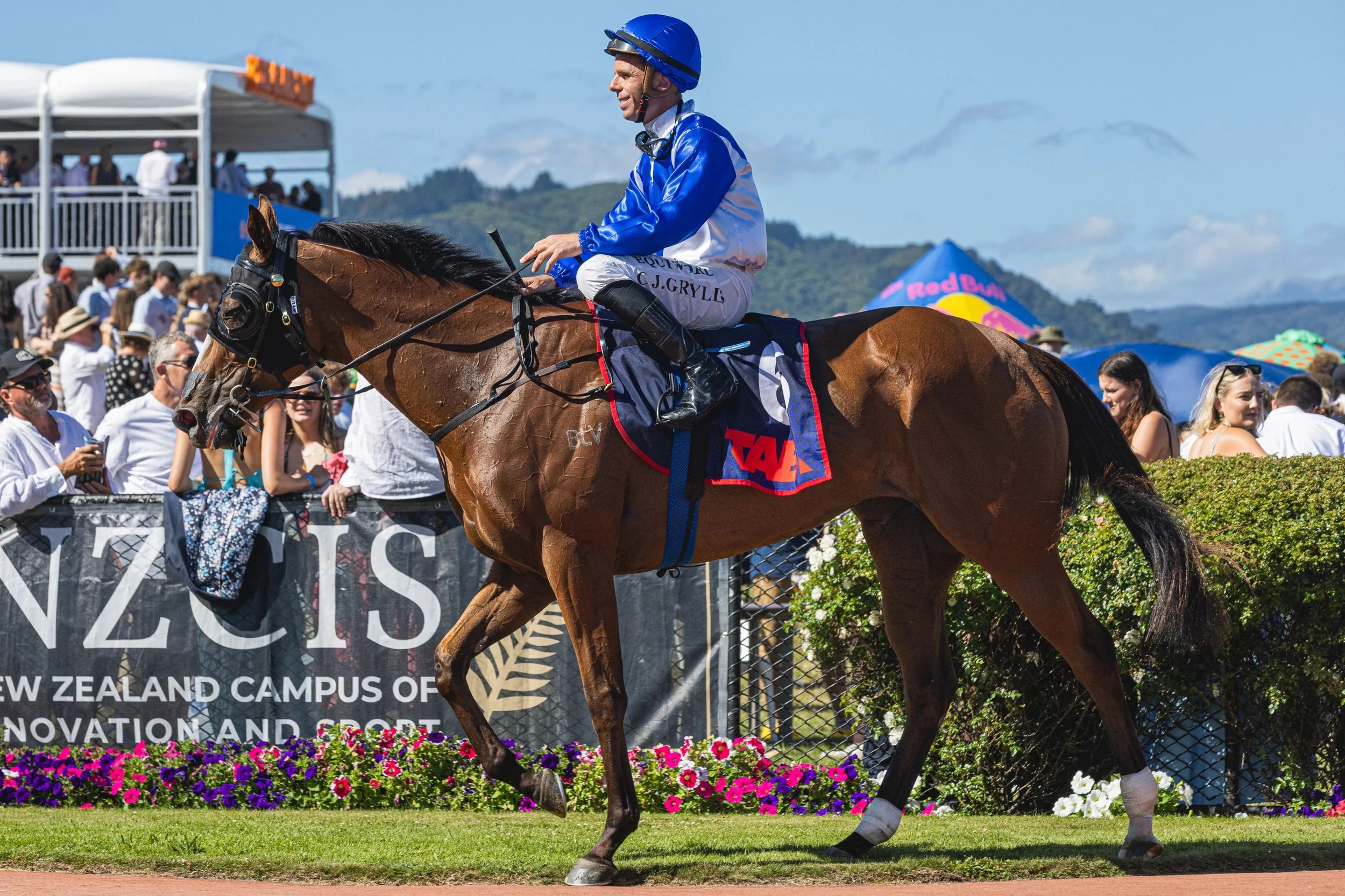 Wellington Cup 2026 (Small Files)-45.jpg