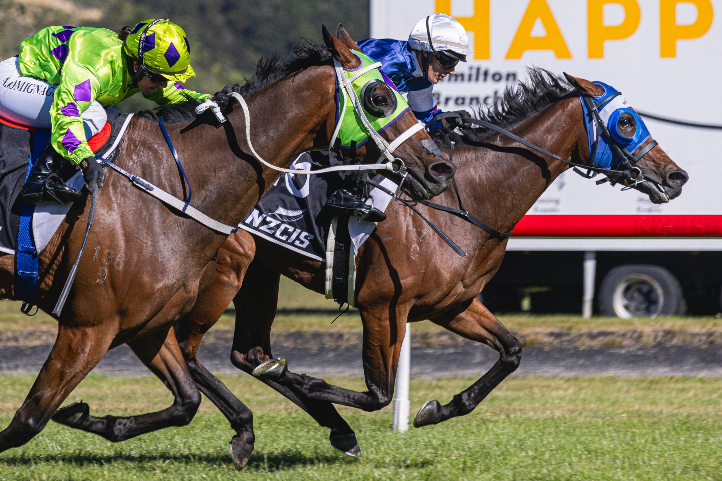 Wellington Cup 2026 (Small Files)-51.jpg