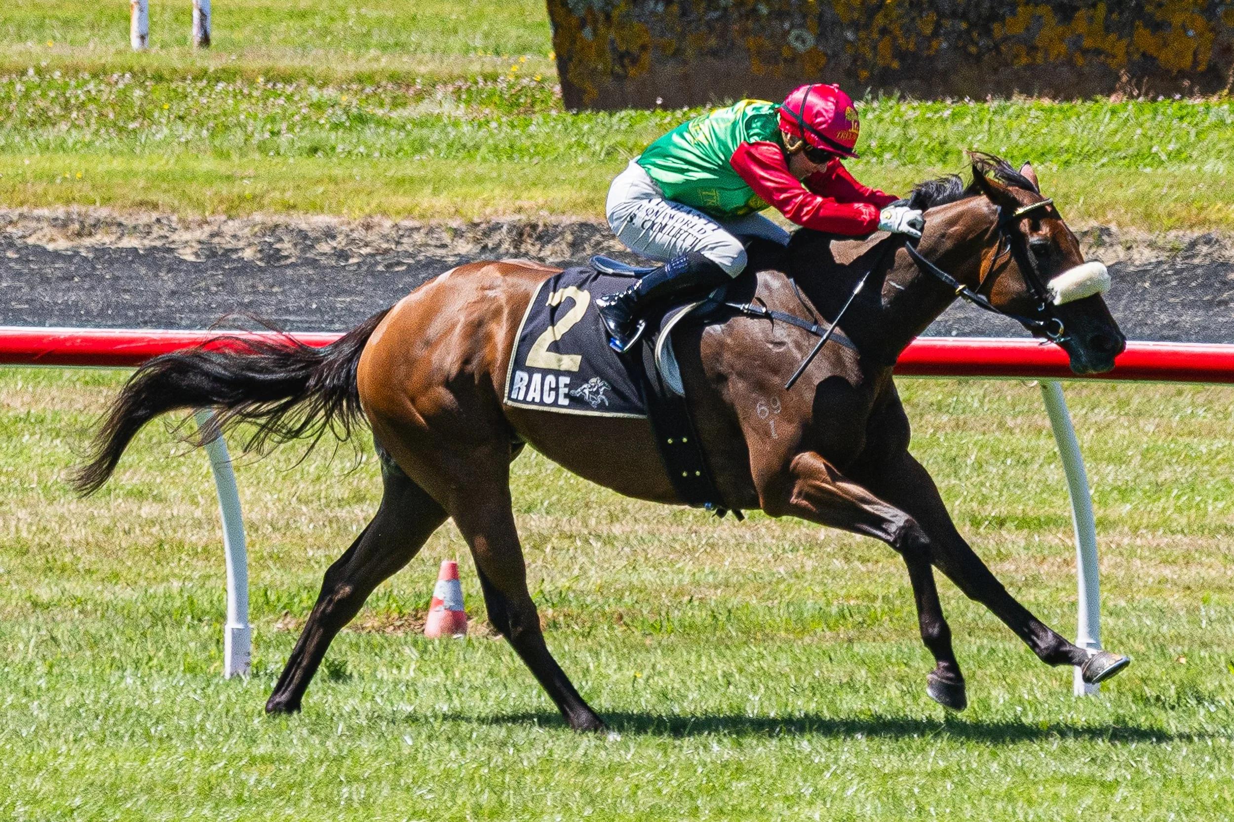 Wellington Cup 2026 (Small Files)-13.jpg