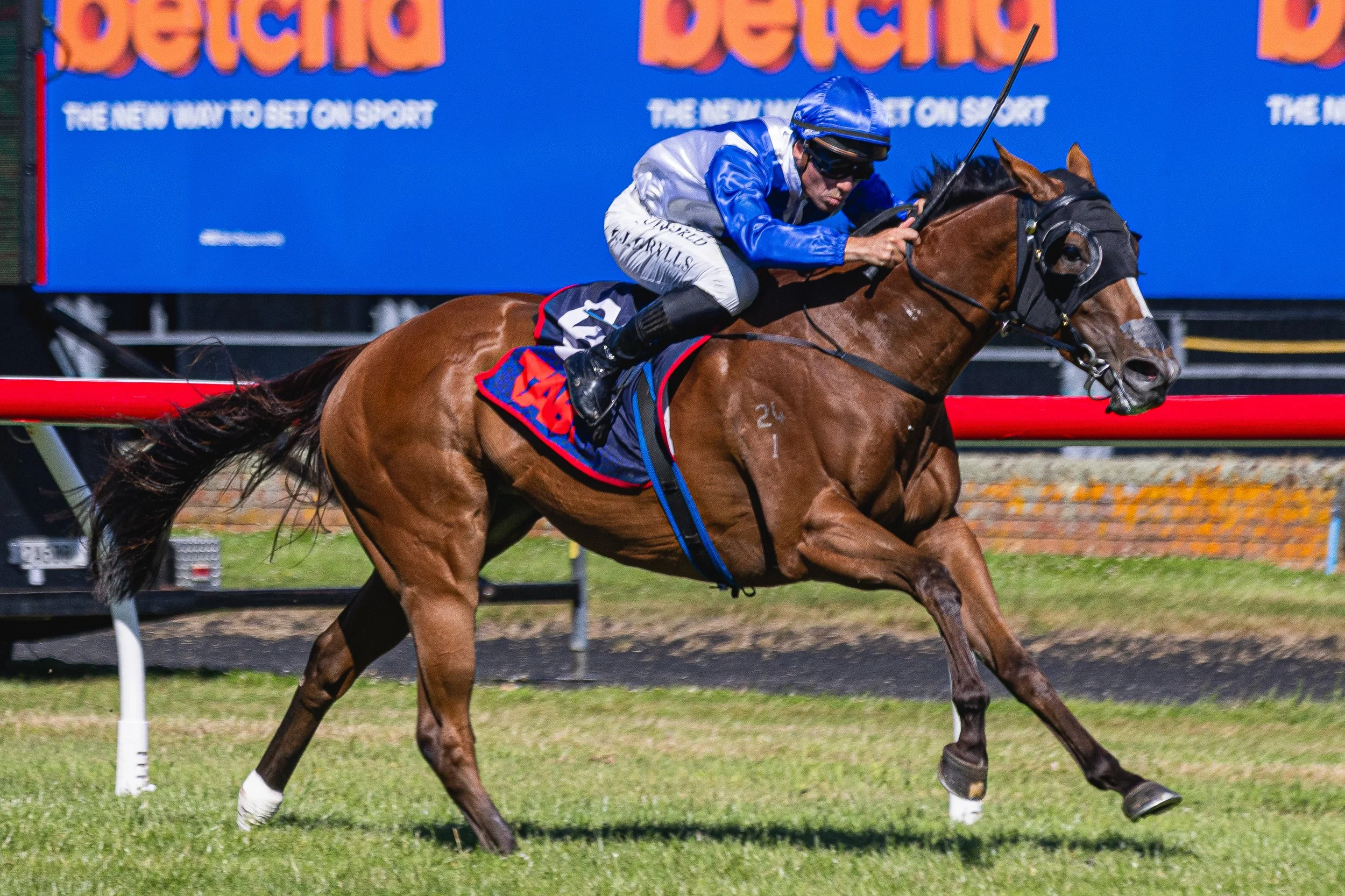 Wellington Cup 2026 (Small Files)-43.jpg