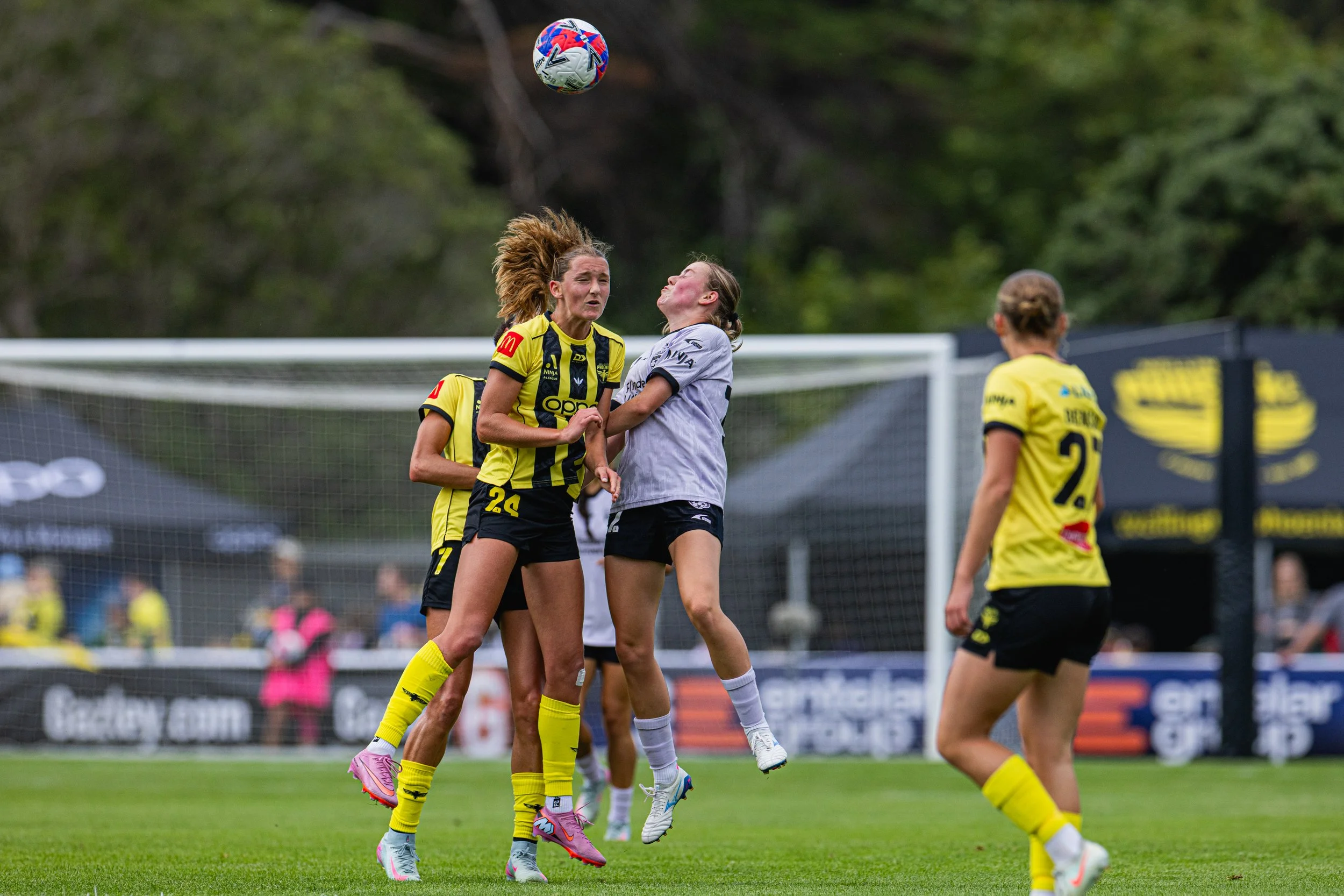 Wellington Phoenix vs. Adelaide United (Small Files)-31.jpg