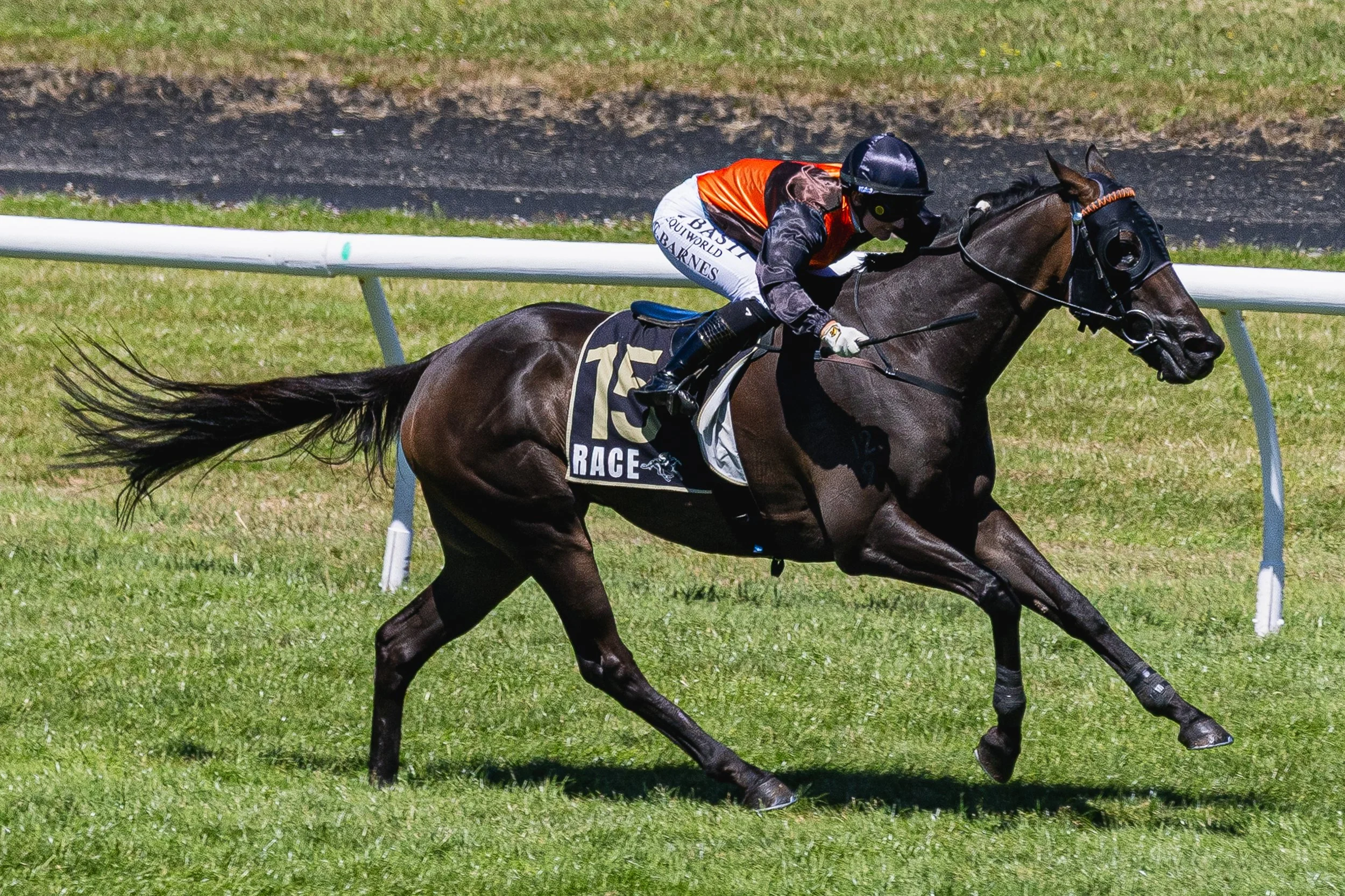 Wellington Cup 2026 (Small Files)-31.jpg