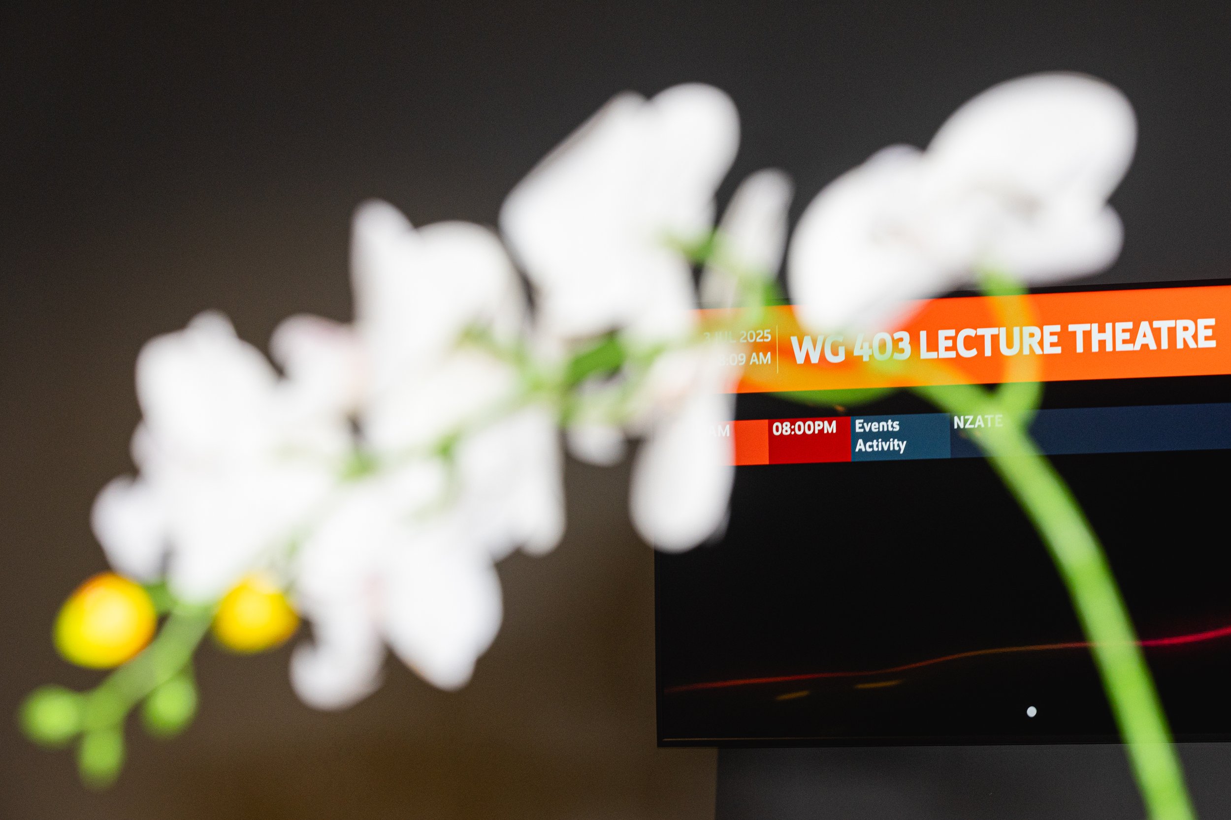 NZATE Conference 2025 (Small Files Version's)-140.jpg