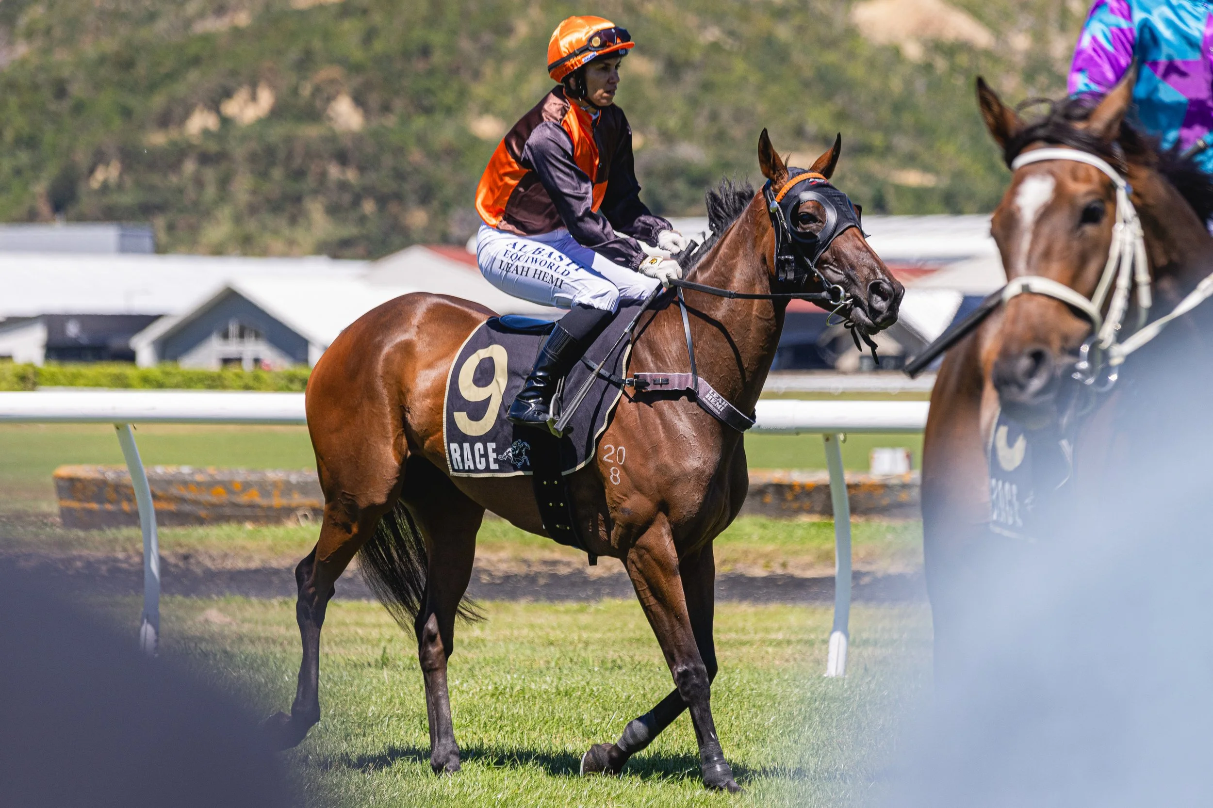 Wellington Cup 2026 (Small Files)-30.jpg