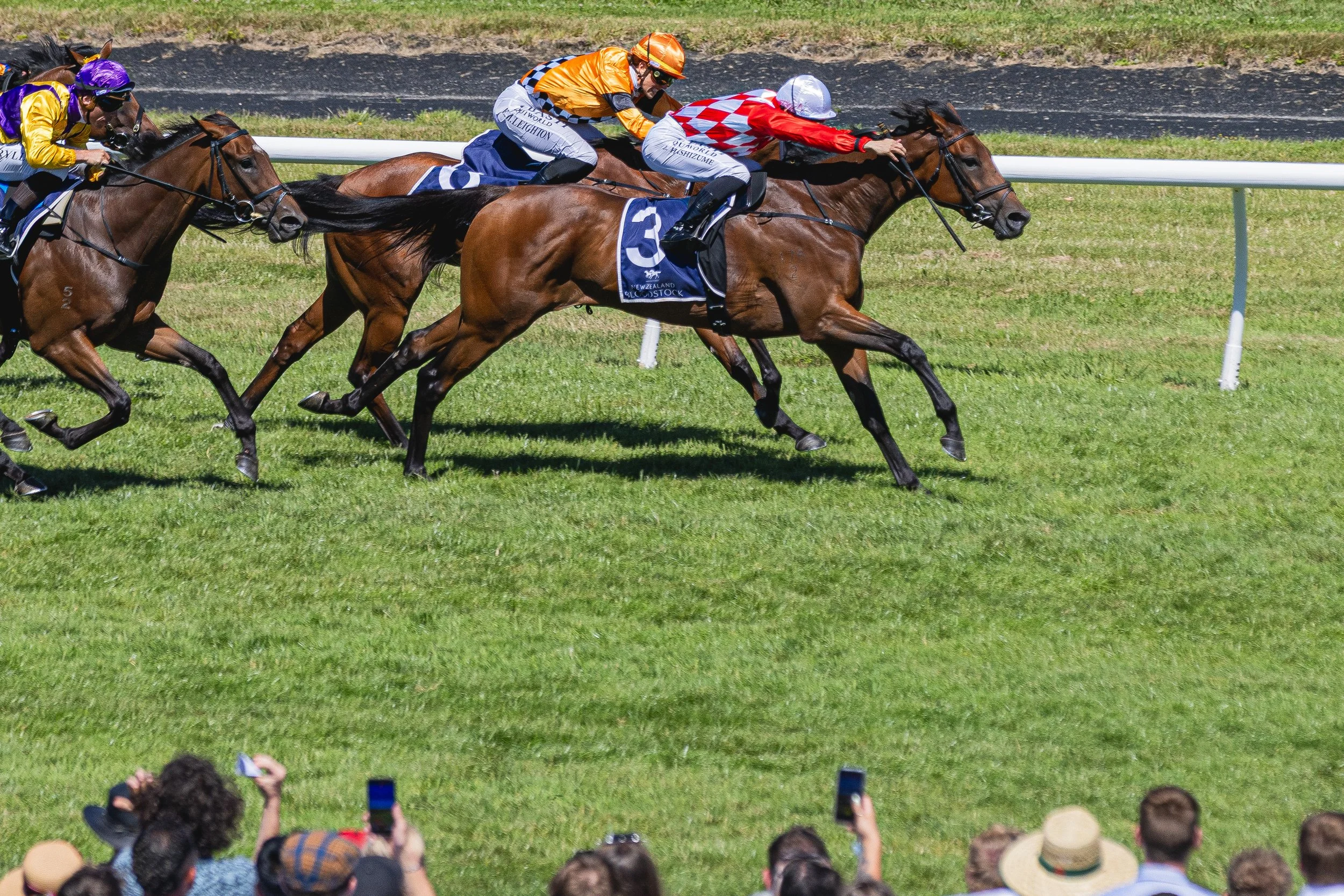 Wellington Cup 2026 (Small Files)-38.jpg