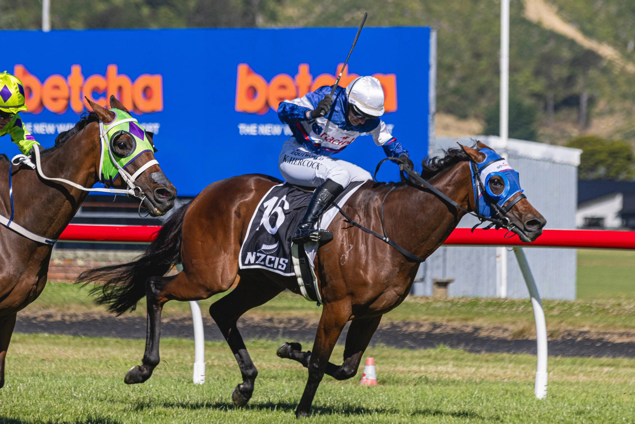 Wellington Cup 2026 (Small Files)-48.jpg