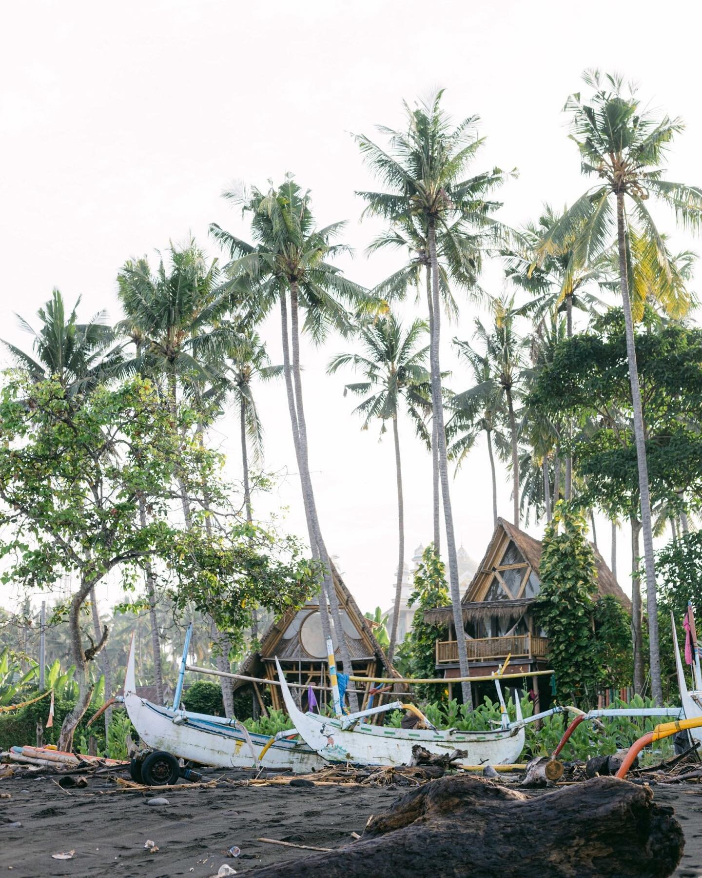 Somewhere in Indonesia ✨

Photo @jaobjaob 

#surf #surfing #surftrip #surfretreat #floraretreats #longboard #indonesia