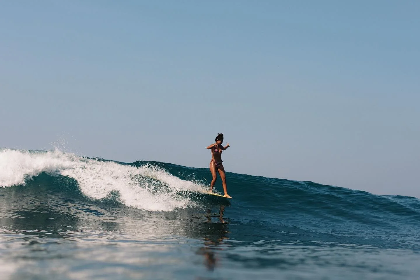 Stay tuned for our upcoming retreats schedules ✨🌼
Photo @tannerdobbins 
#longboard #longboardretreat #floraretreats #indonesia