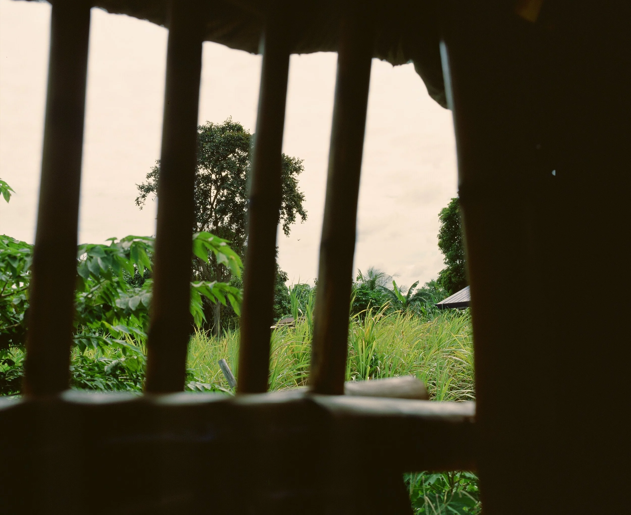 Maharlika, Philippines — image 49