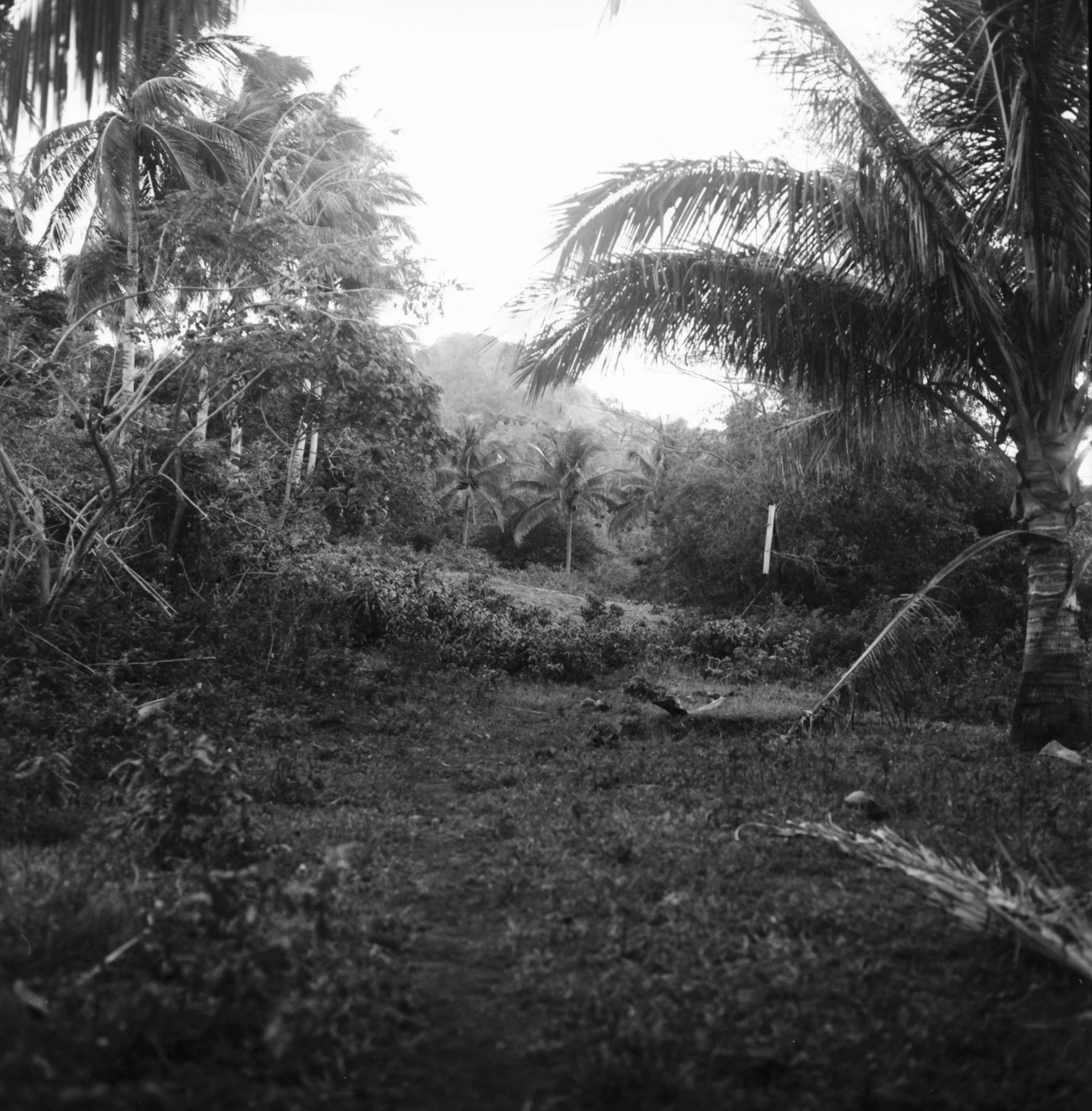 Maharlika, Philippines — image 47