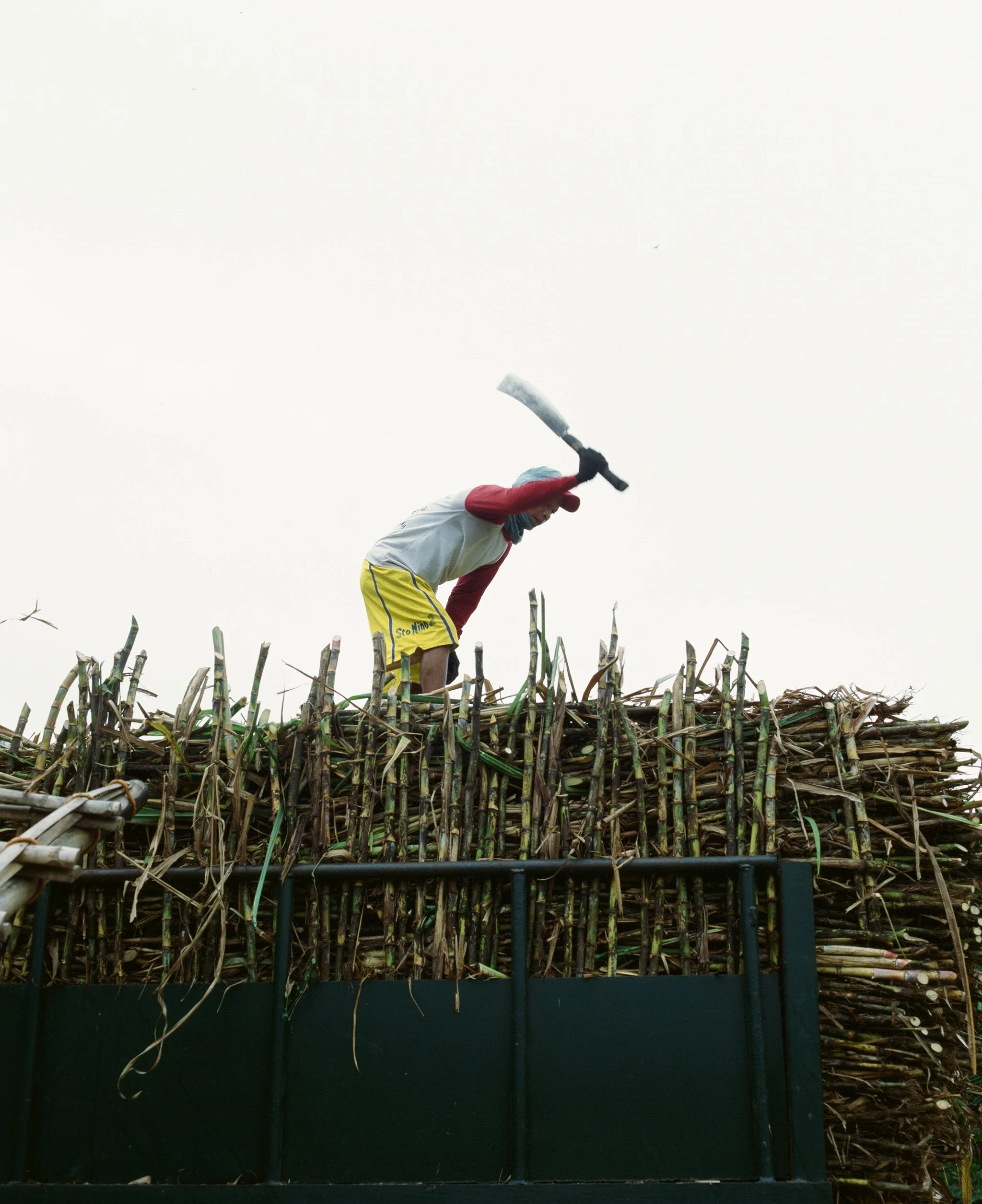 Maharlika, Philippines — image 11