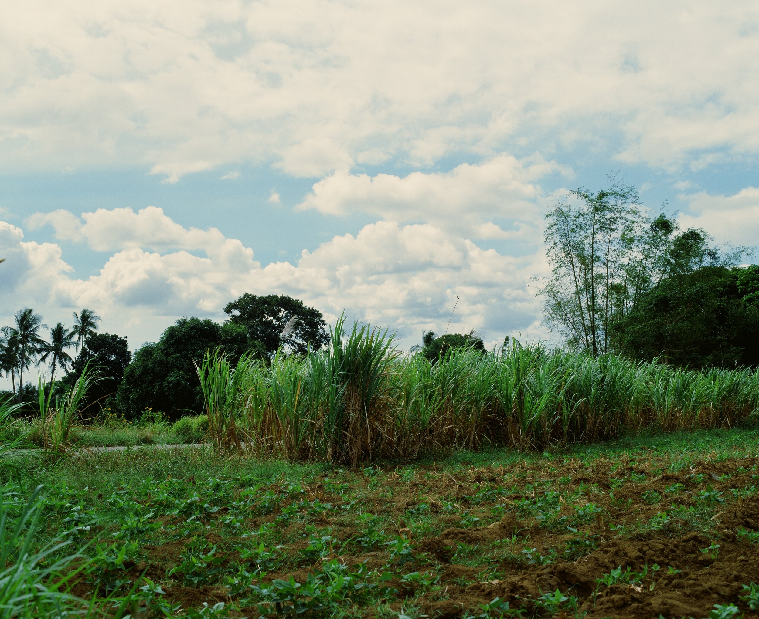 Maharlika, Philippines — image 18