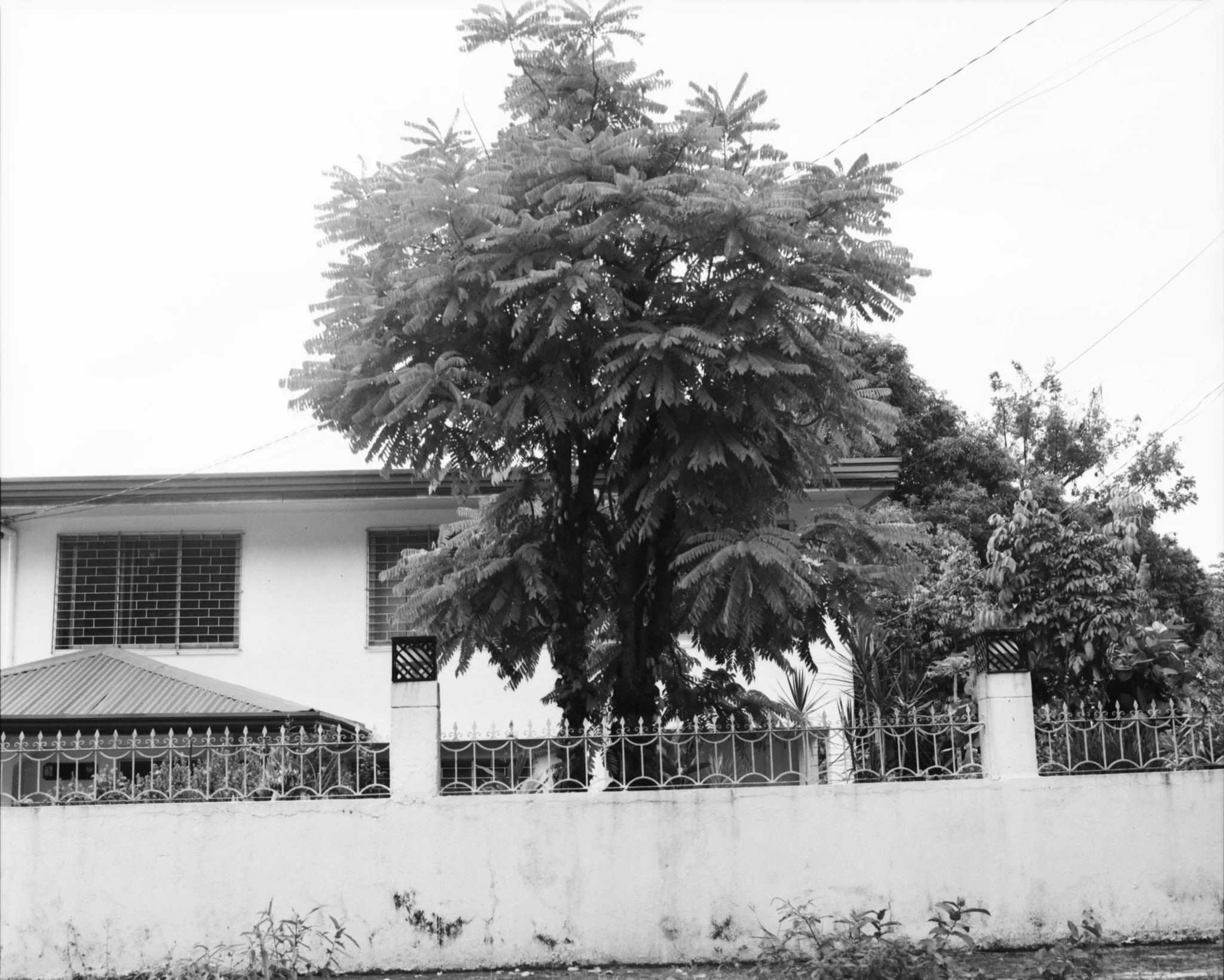 Maharlika, Philippines — image 32