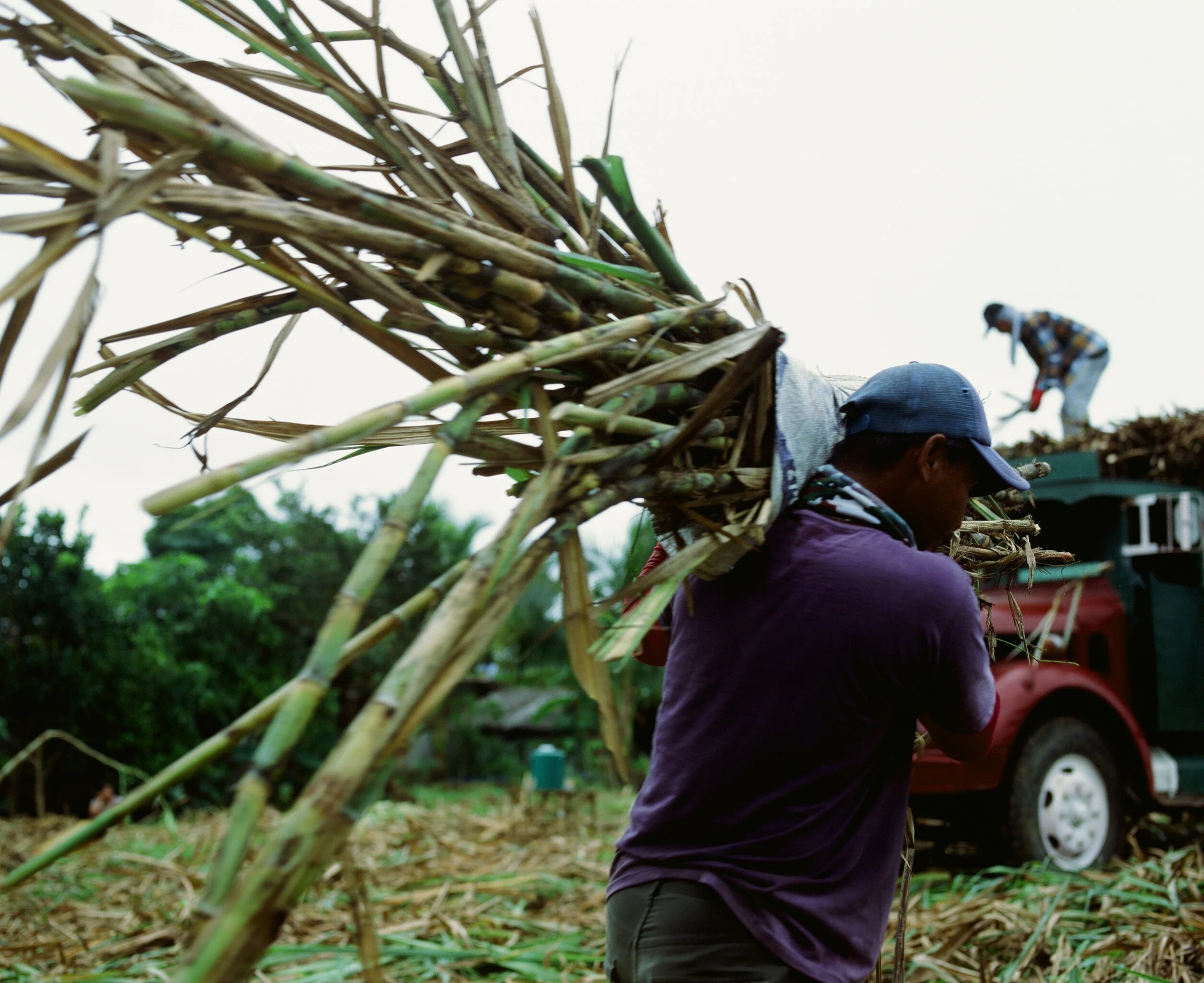 Maharlika, Philippines — image 13