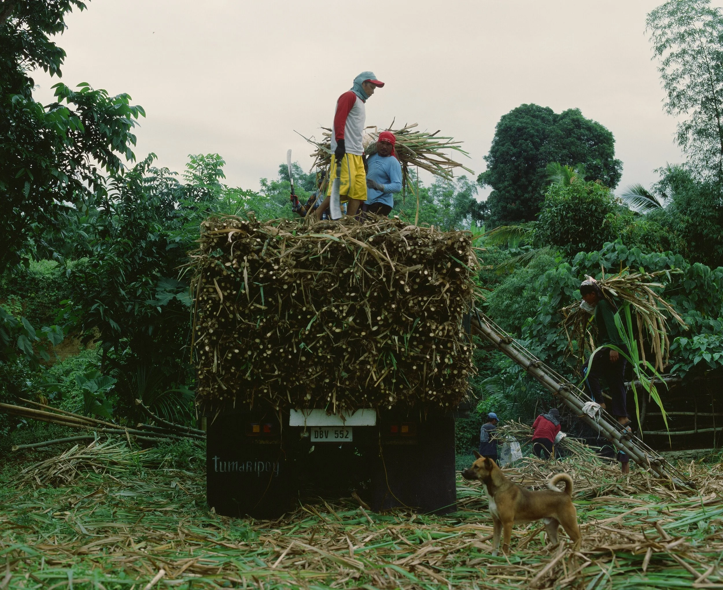 Maharlika, Philippines — image 40