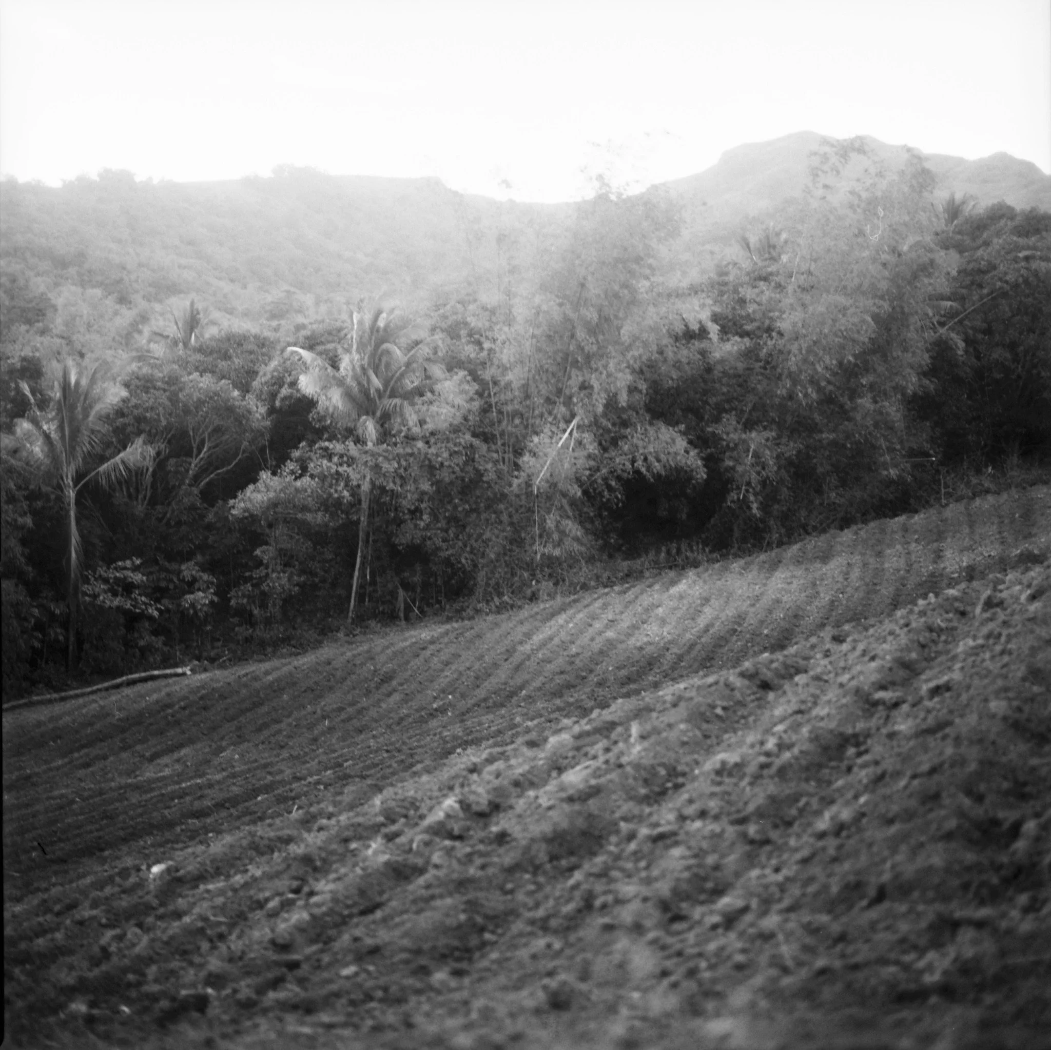 Maharlika, Philippines — image 62