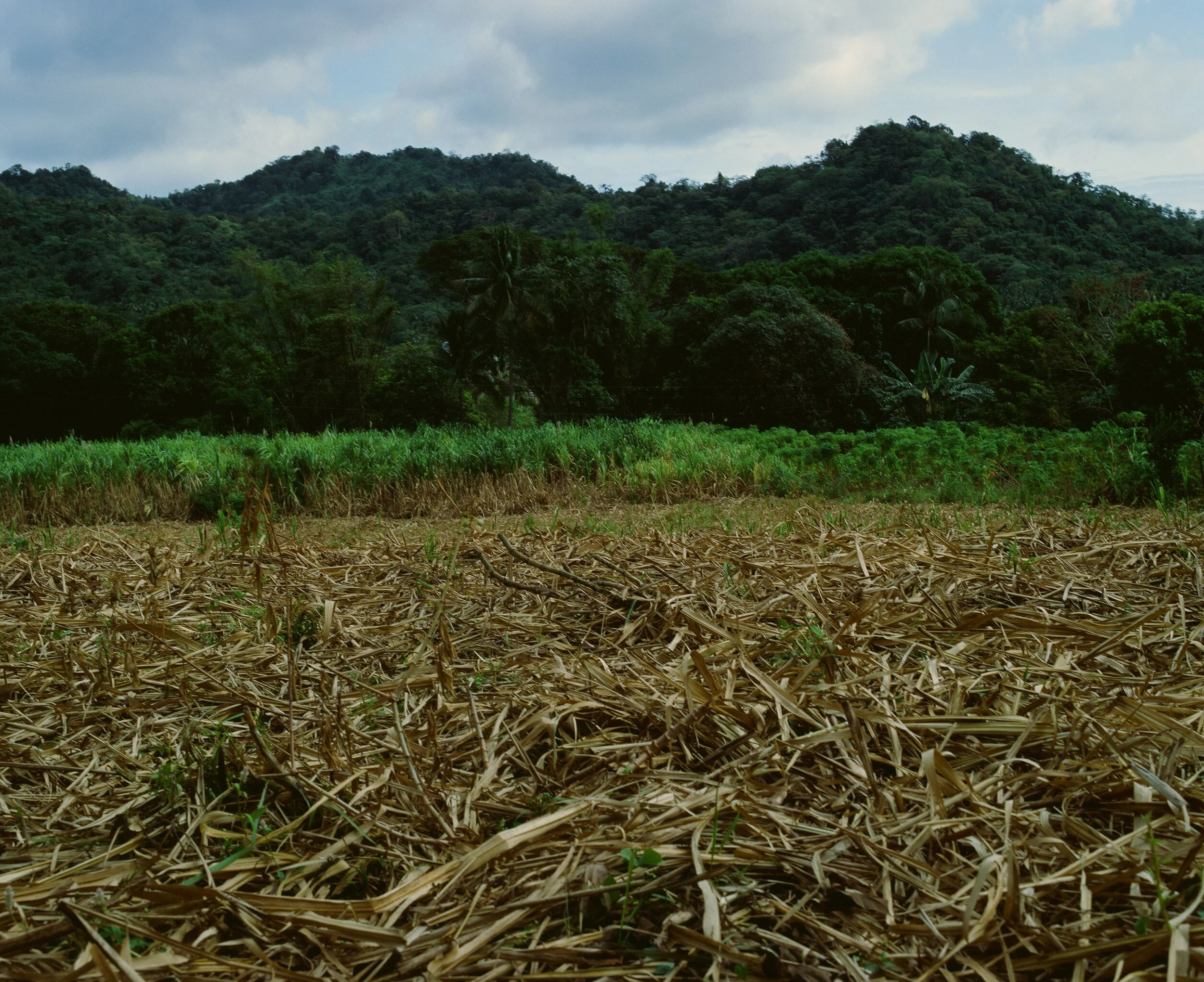 Maharlika, Philippines — image 20