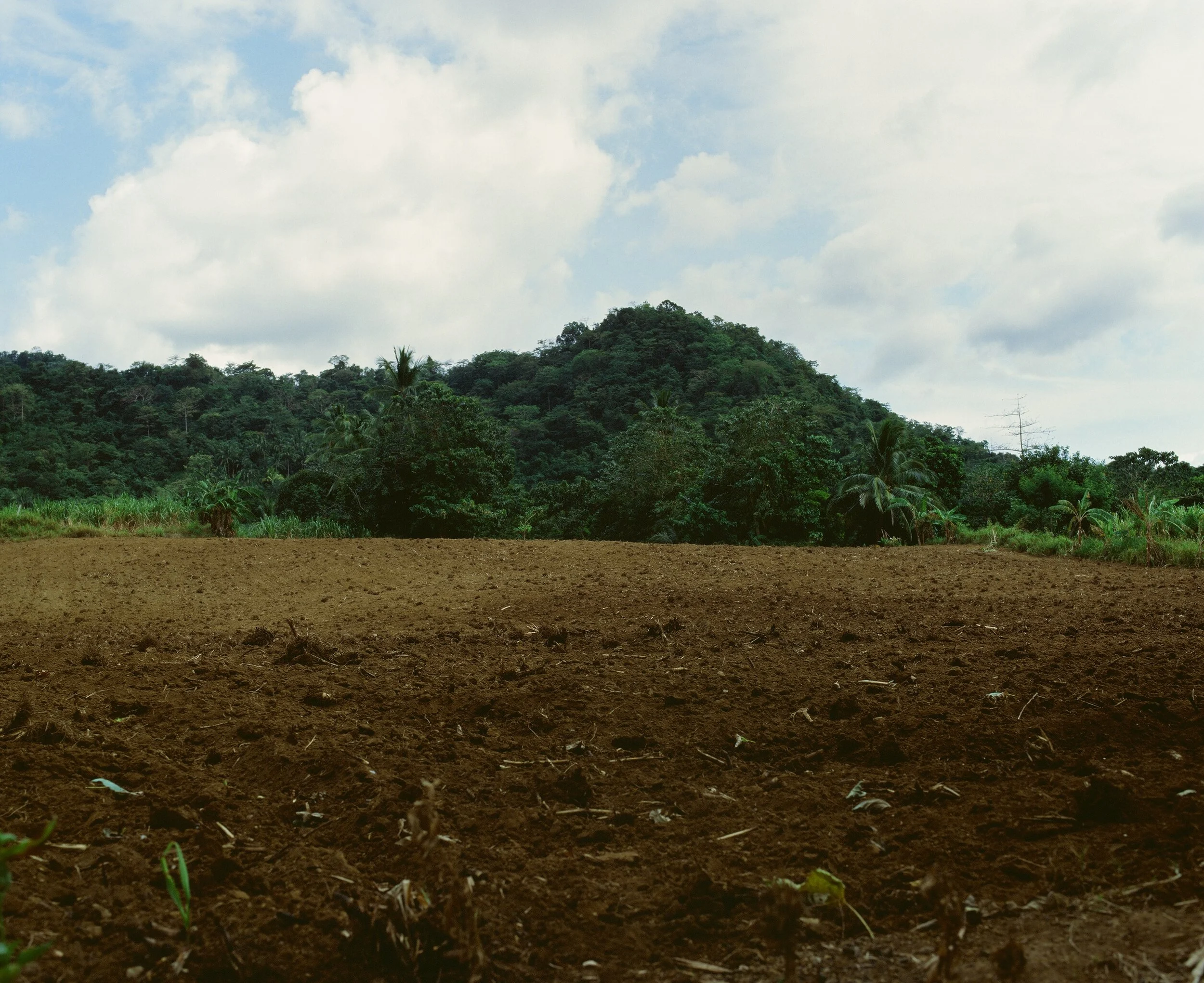 Maharlika, Philippines — image 17