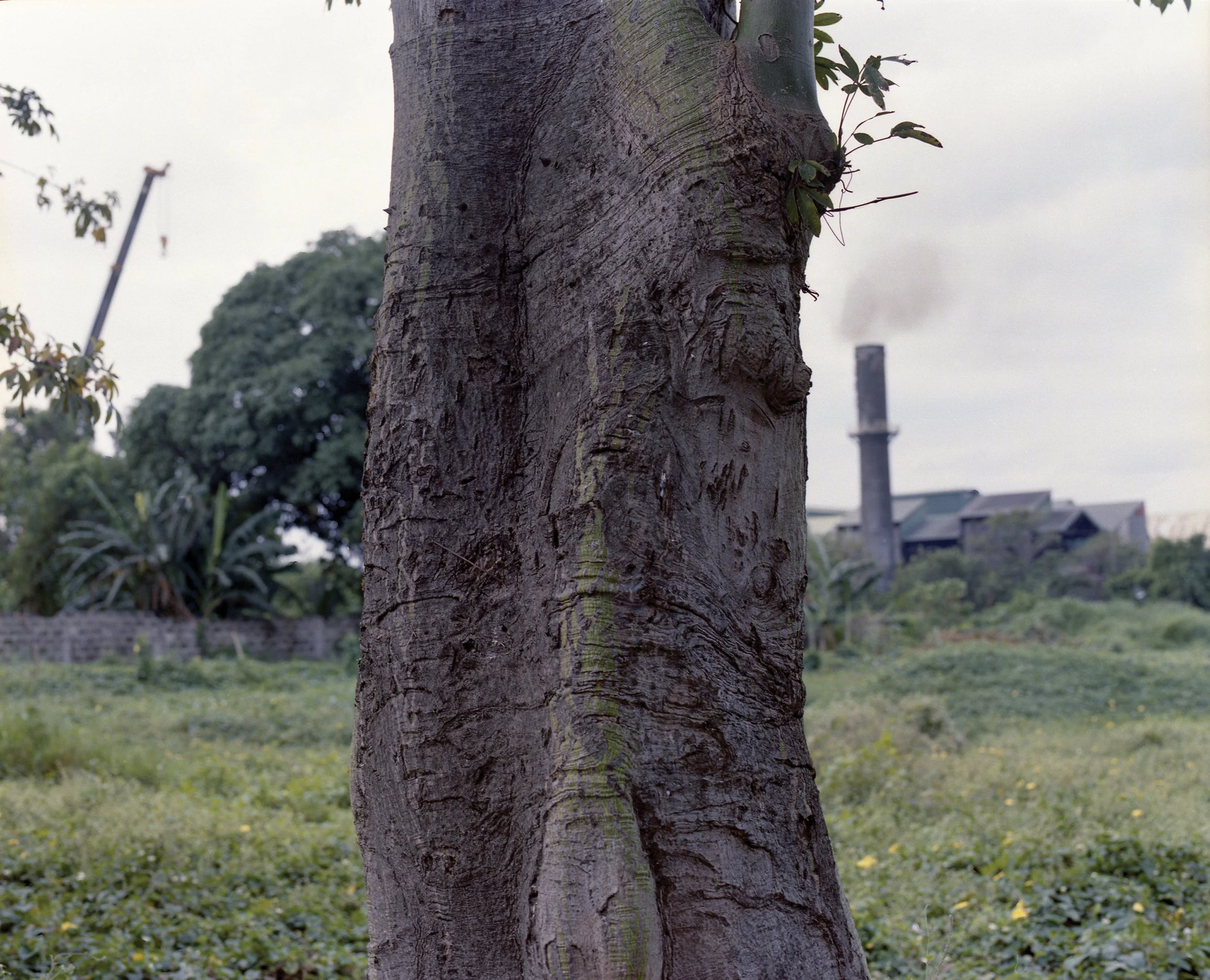 Maharlika, Philippines — image 1