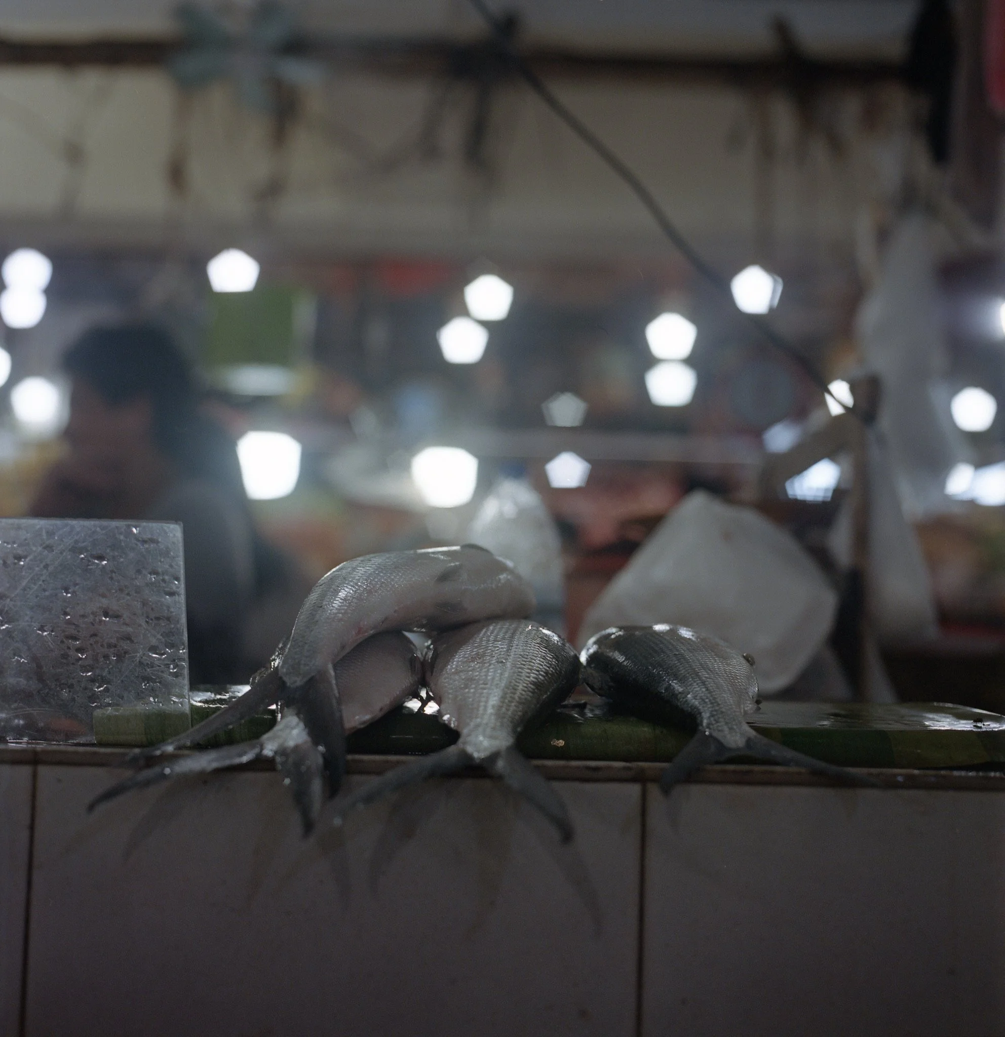 Maharlika, Philippines — image 65