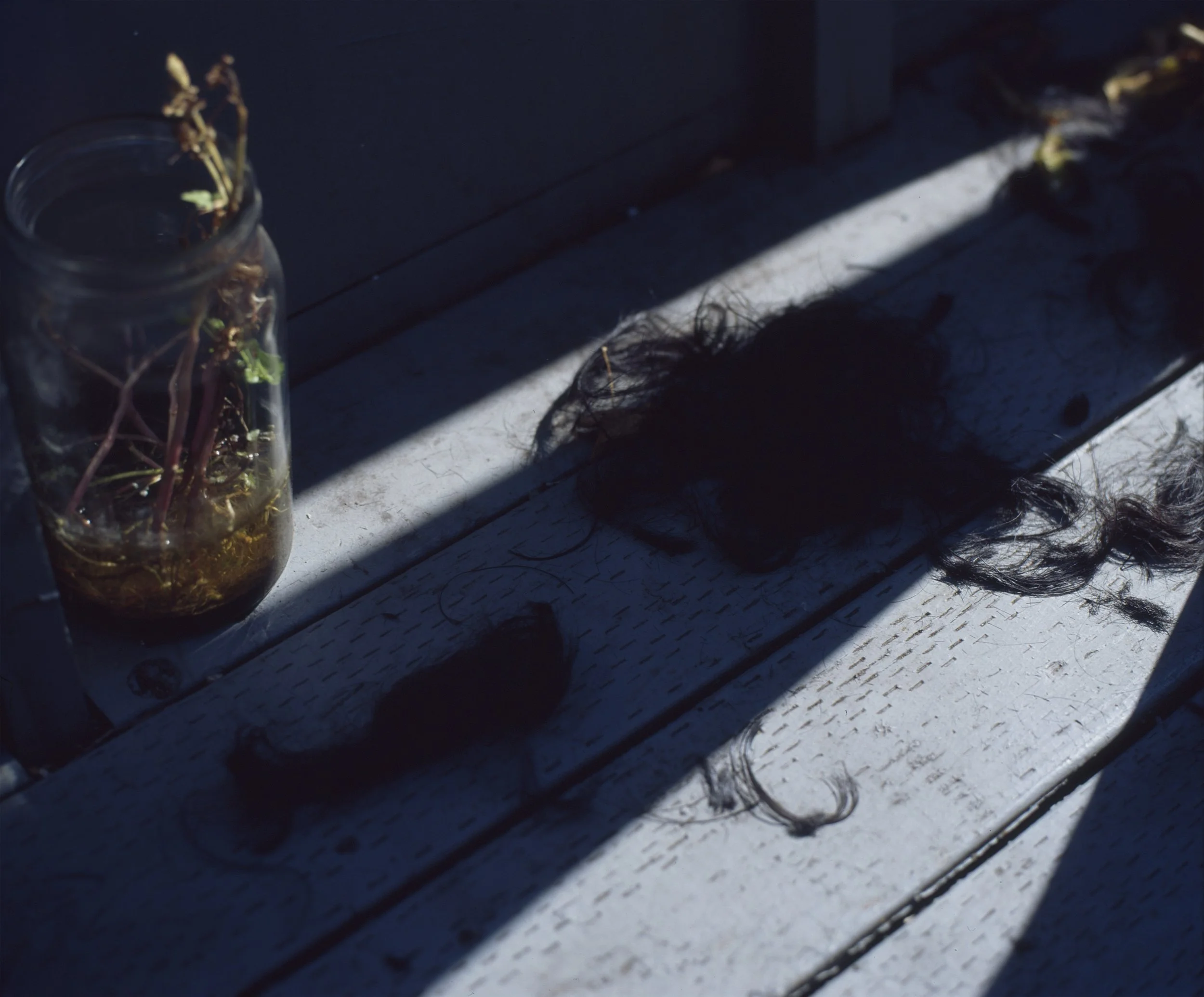 A Bay Area Story — image 12