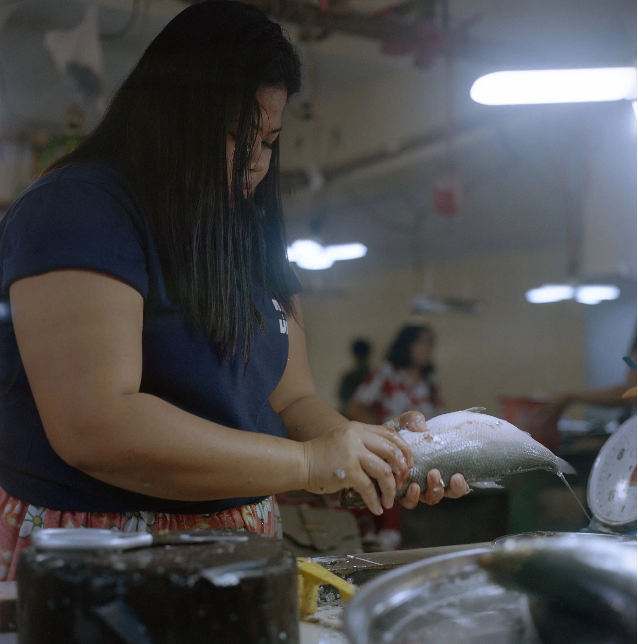 Maharlika, Philippines — image 63