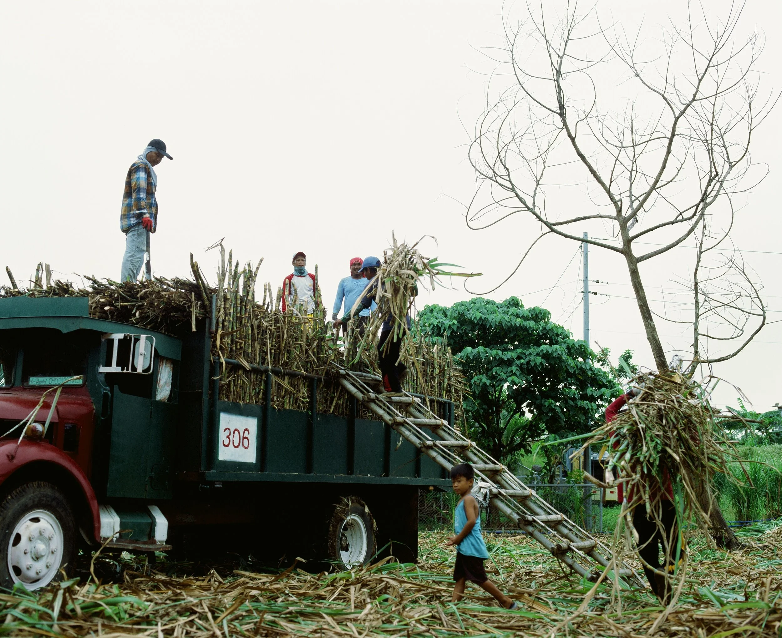 Maharlika, Philippines — image 12