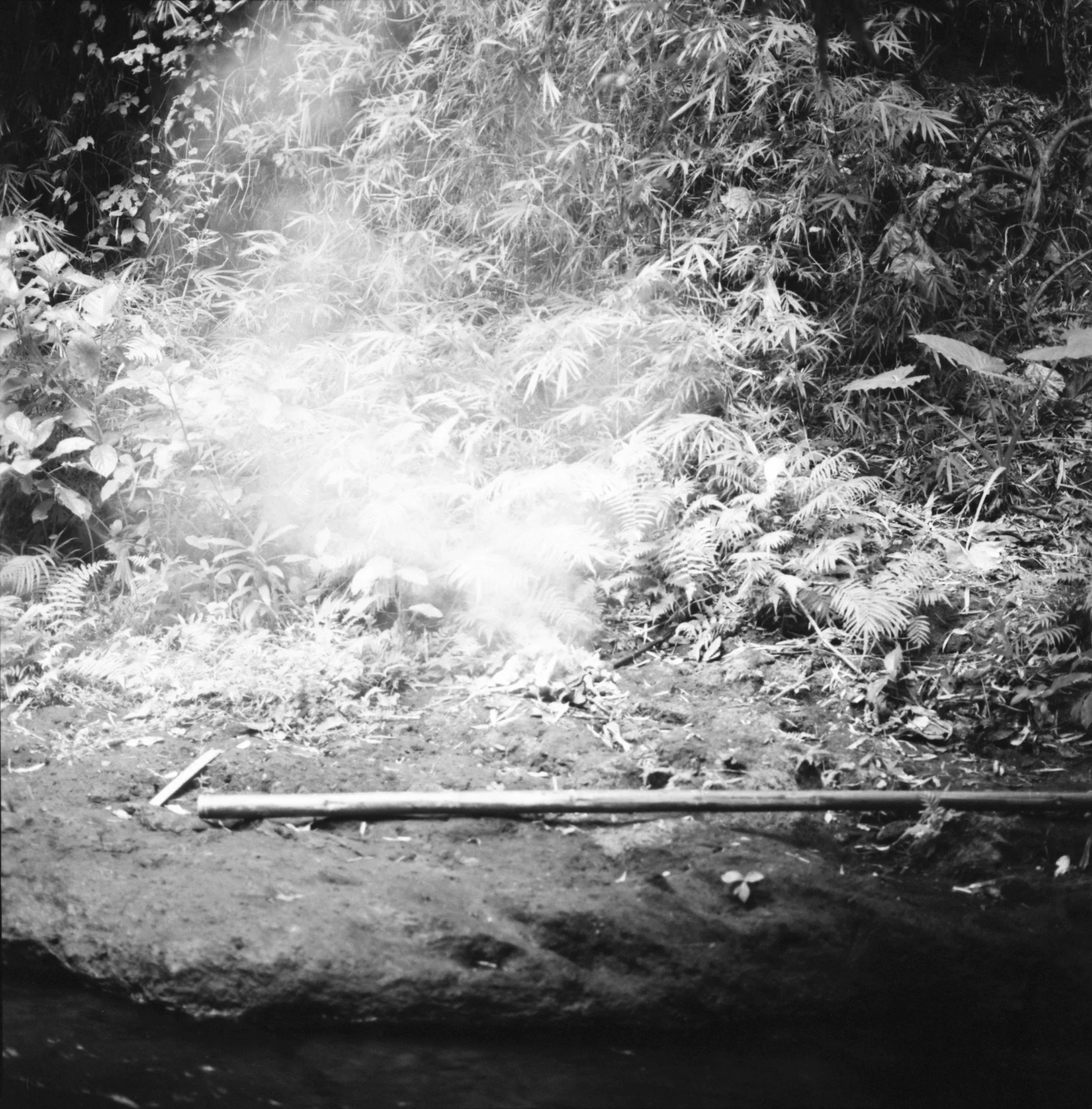 Maharlika, Philippines — image 36