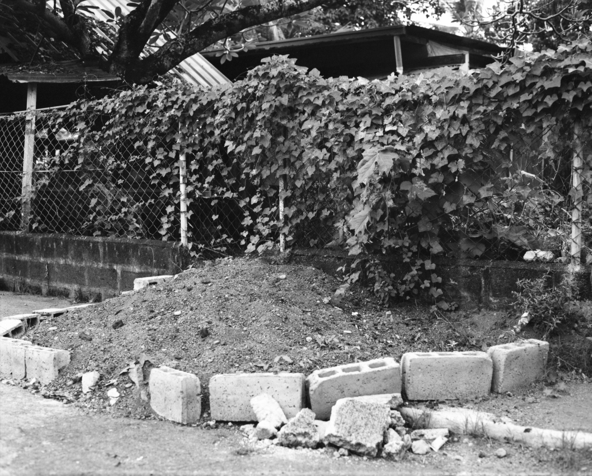 Maharlika, Philippines — image 39